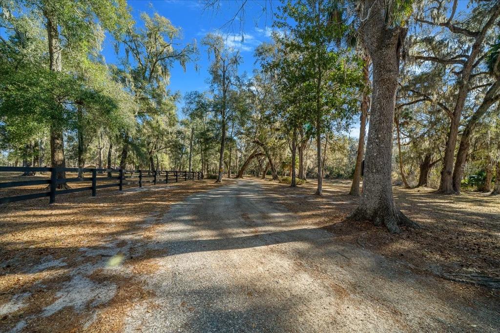 3551 East Highway 329 Anthony, FL 32617 - Photo 76 of 86