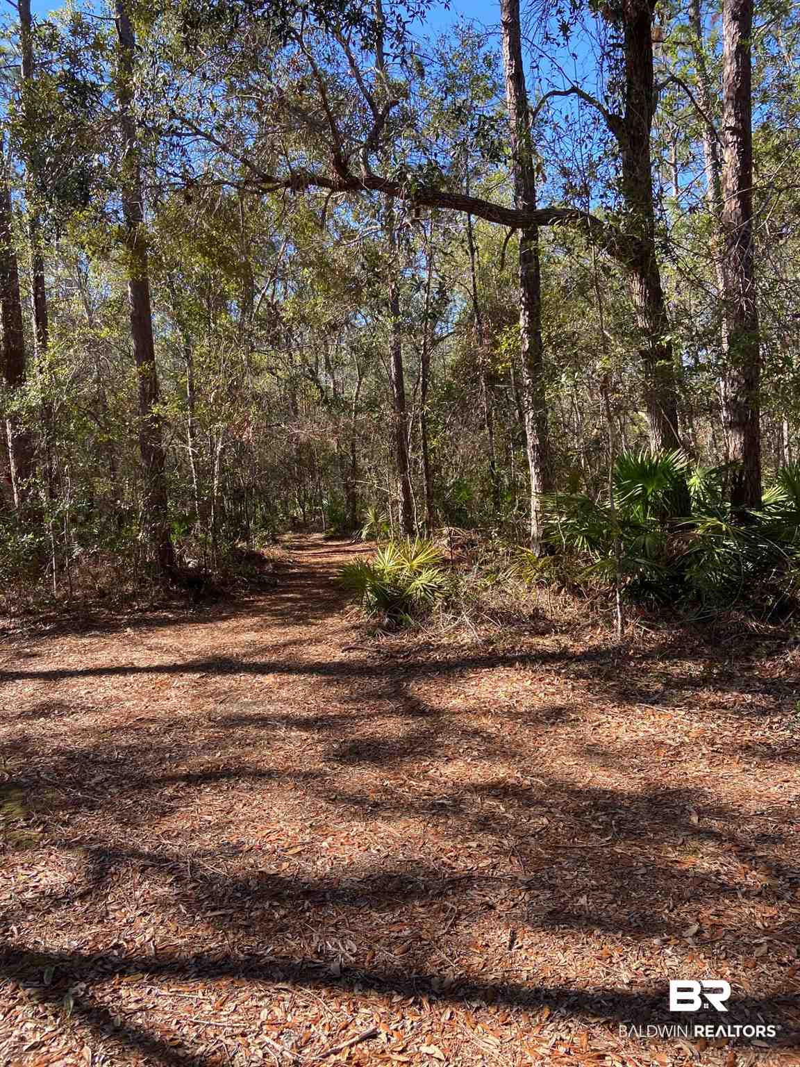 0 Pine Street Elberta, AL 36530 - Photo 14 of 14