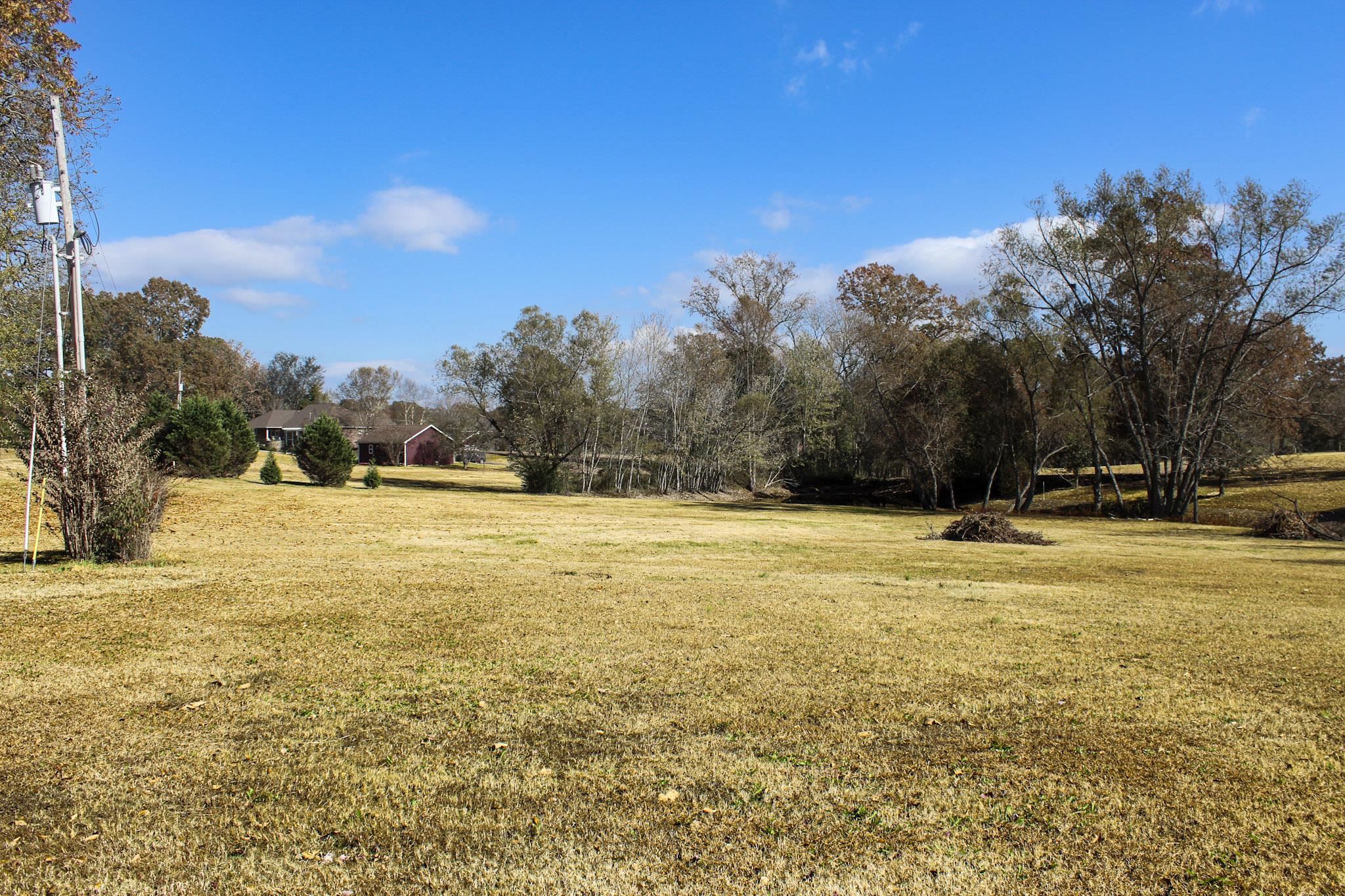 3070 Caney Branch Road Adamsville, TN 38310 - Photo 24 of 24 a view of yard and swimming pool