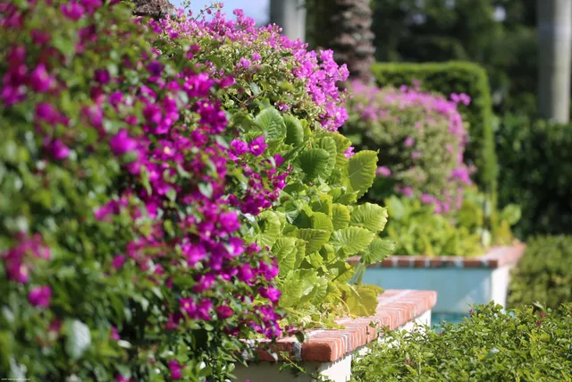 a view of a porch with chairs and backyard
