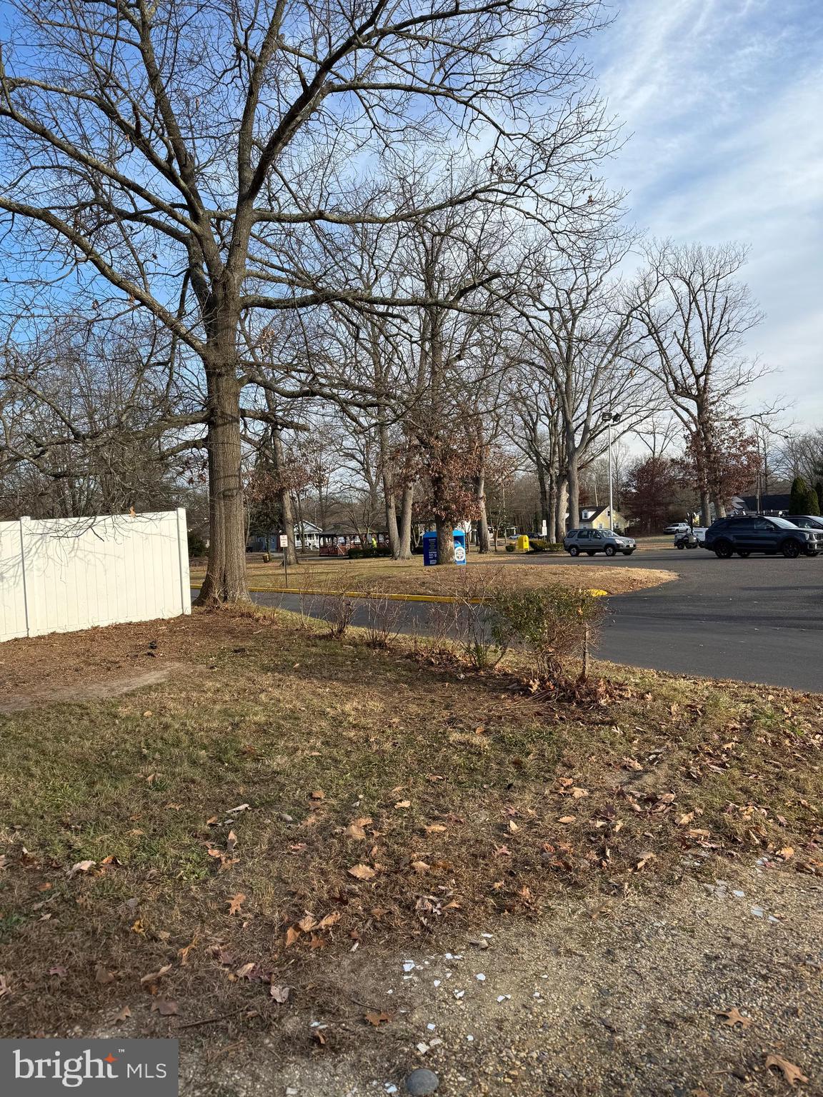 2136 Atco Avenue Atco, NJ 08004 - Photo 12 of 36 a view of dirt yard with a large tree