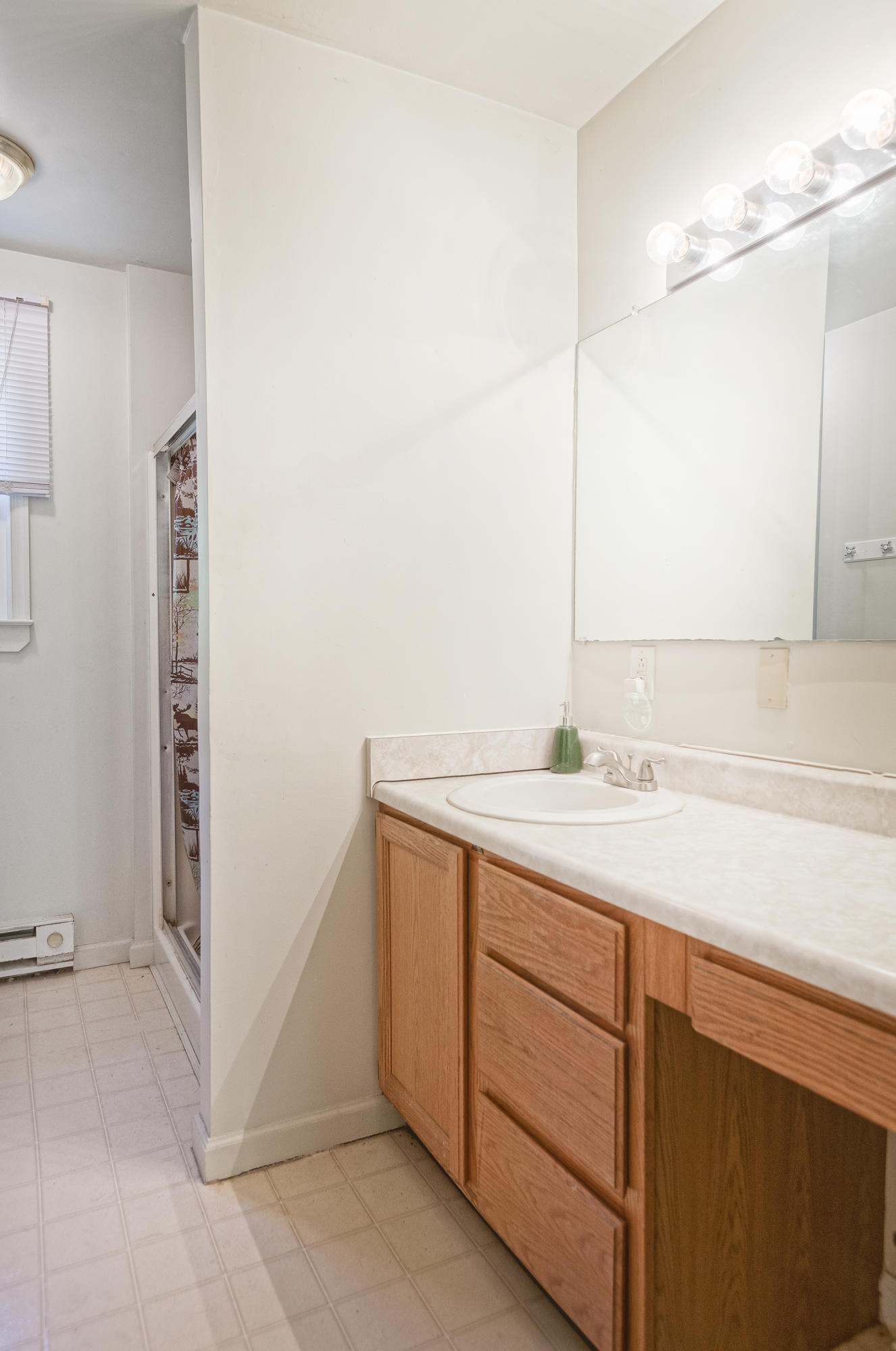 2669 Simmons Mill Road Thaxton, VA 24174 - Photo 10 of 34 Master Bath