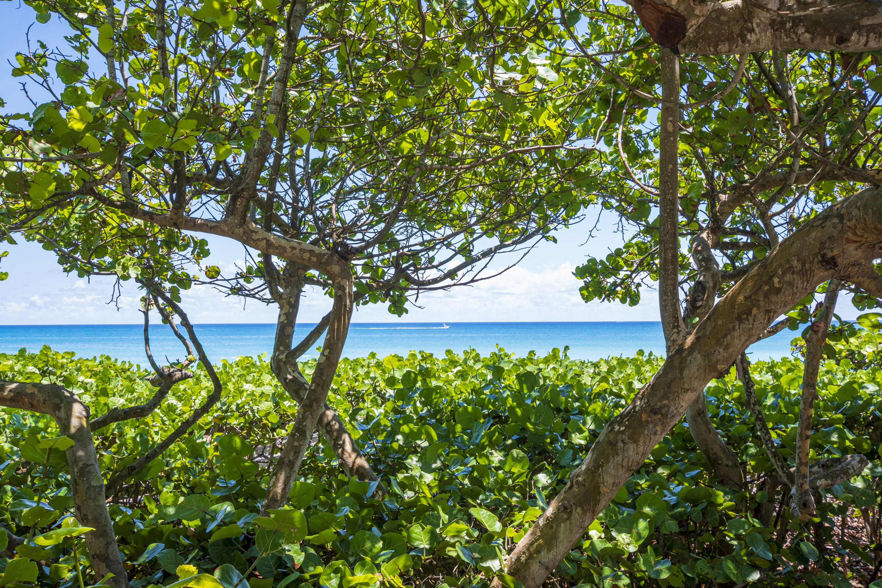 36 Saddleback Road Jupiter, FL 33469 - Photo 31 of 39 Beautiful Local Beaches