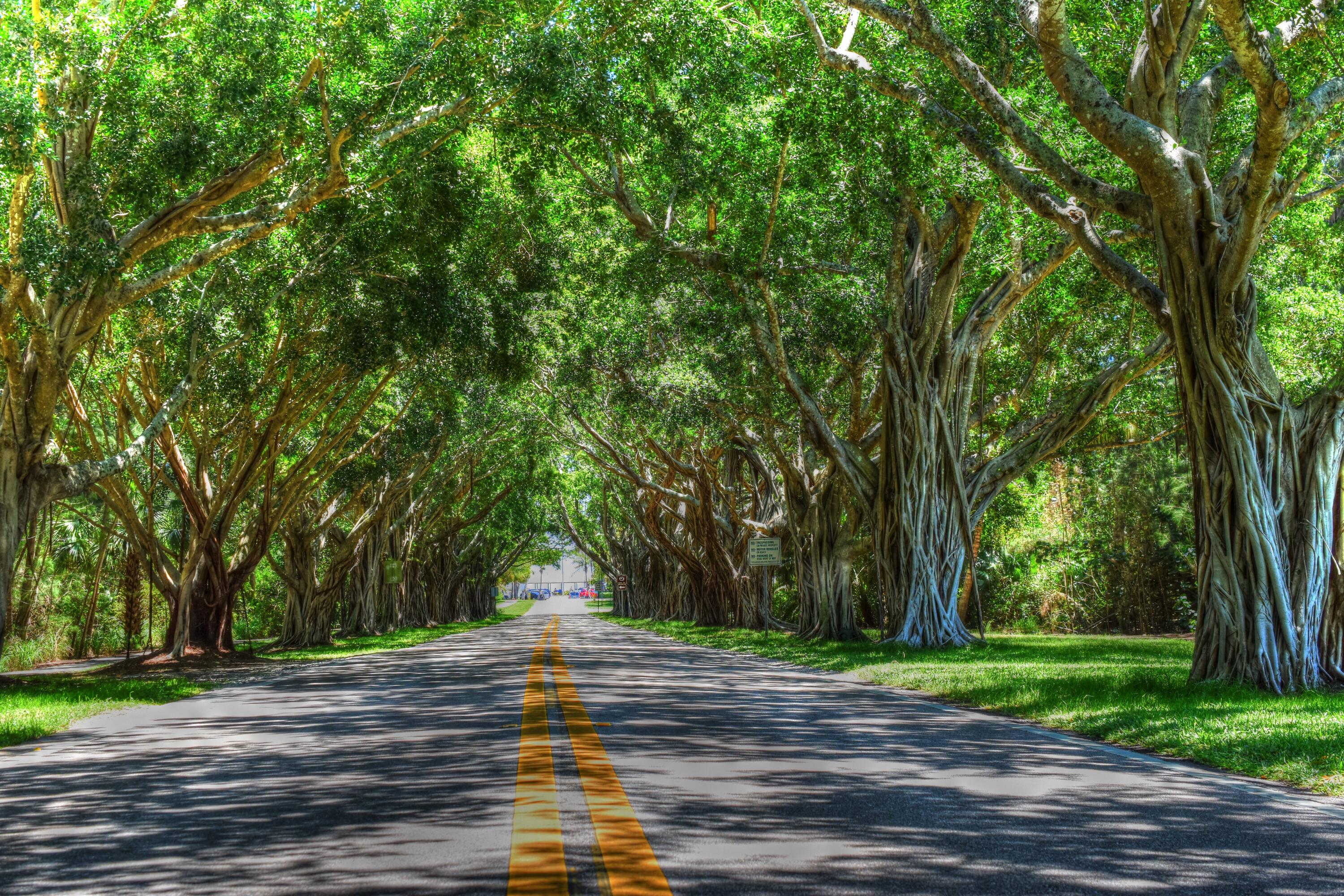 36 Saddleback Road Jupiter, FL 33469 - Photo 35 of 39 Nearby Hobe Sound