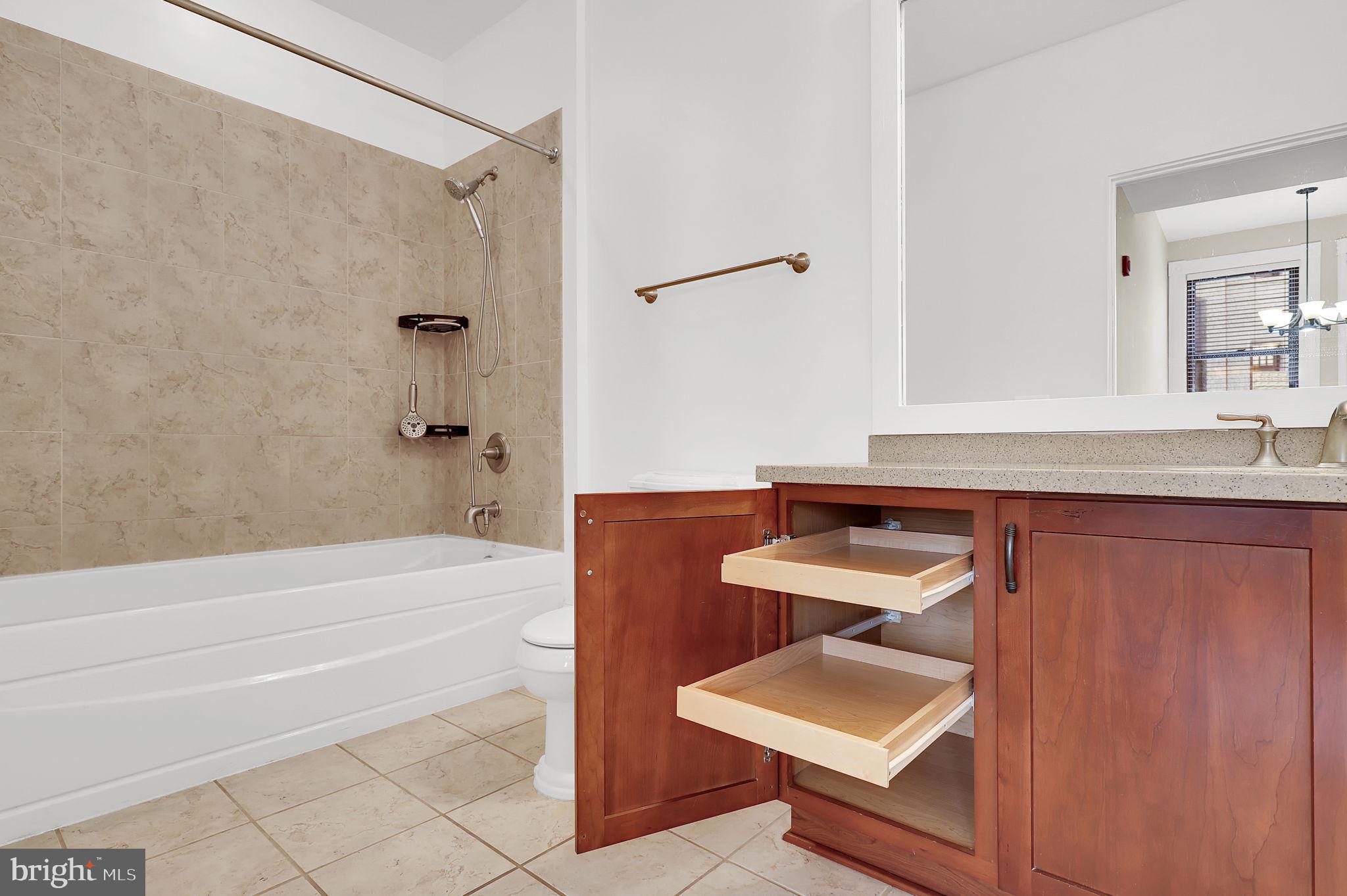 9610 Dewitt Drive, Unit SH205 Silver Spring, MD 20910 - Photo 13 of 59 a bathroom with a sink and a mirror