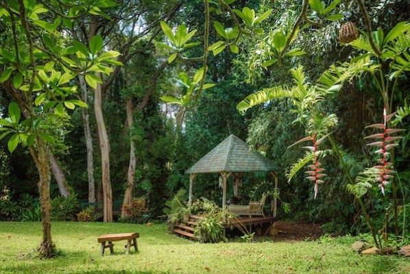 5921 A Kapahi Road, Unit A Kapaa, HI 96746 - Photo 11 of 24 Gallery Image 11