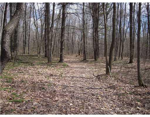 622 Boyers Road Boyers, PA 16020 - Photo 12 of 18 Land/Lot. trails thru out the woods