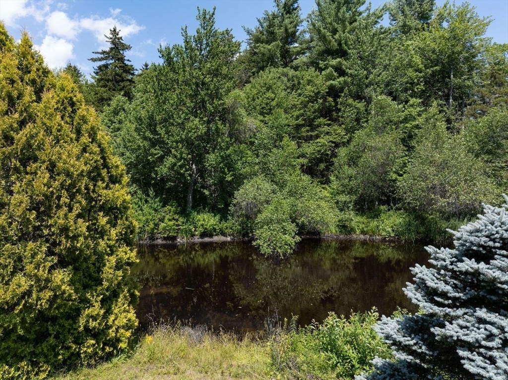 688 Bear Swamp Road Ashfield, MA 01330 - Photo 5 of 40 Gallery Image 5
