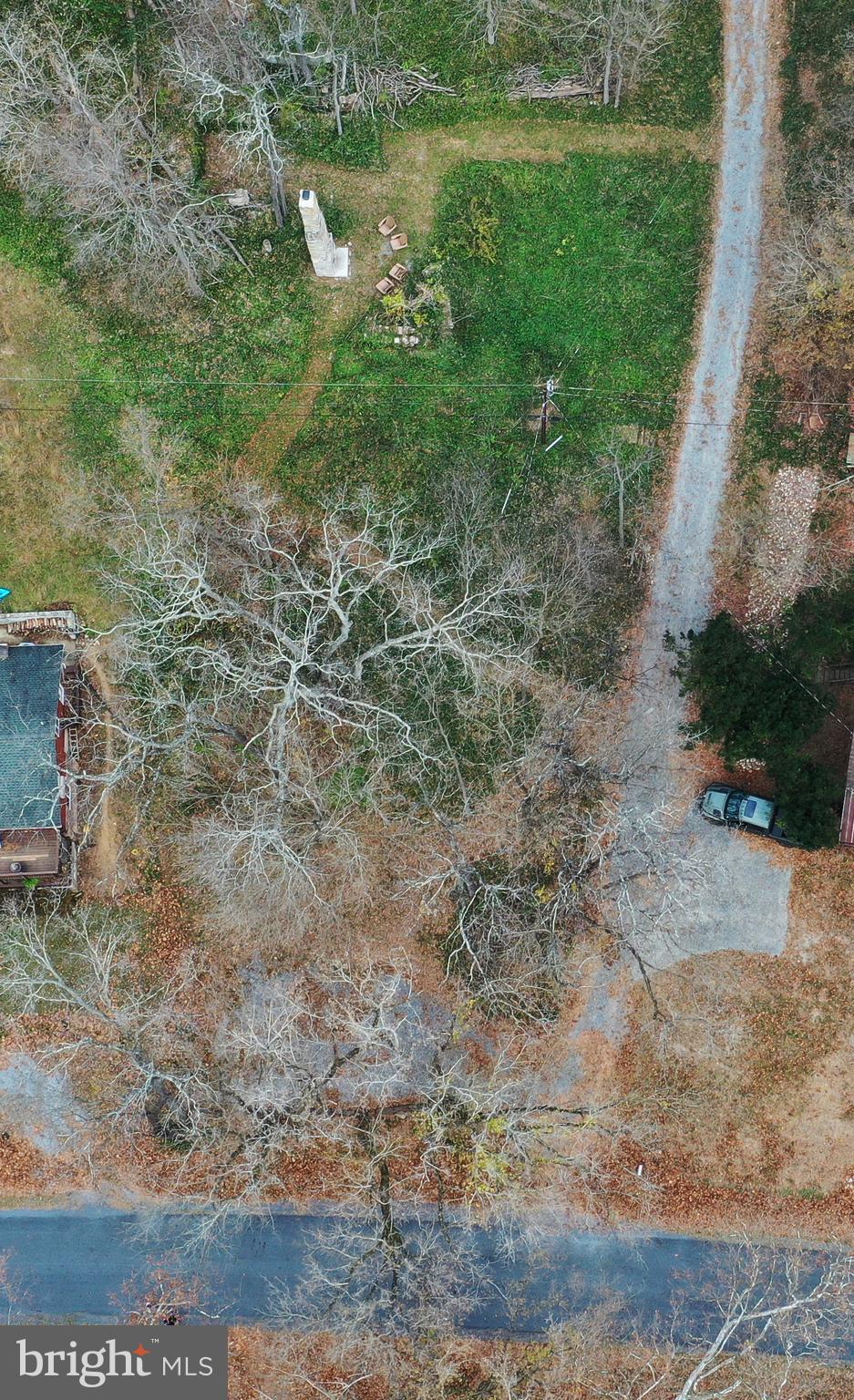 Lot D Lockes Mill Road Berryville, VA 22611 - Photo 12 of 29 a view of a yard with a tree
