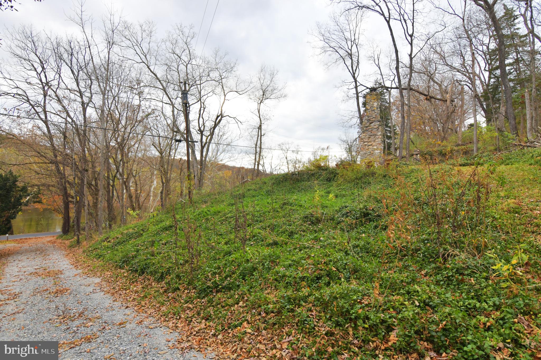 Lot D Lockes Mill Road Berryville, VA 22611 - Photo 15 of 29 a view of a yard with trees