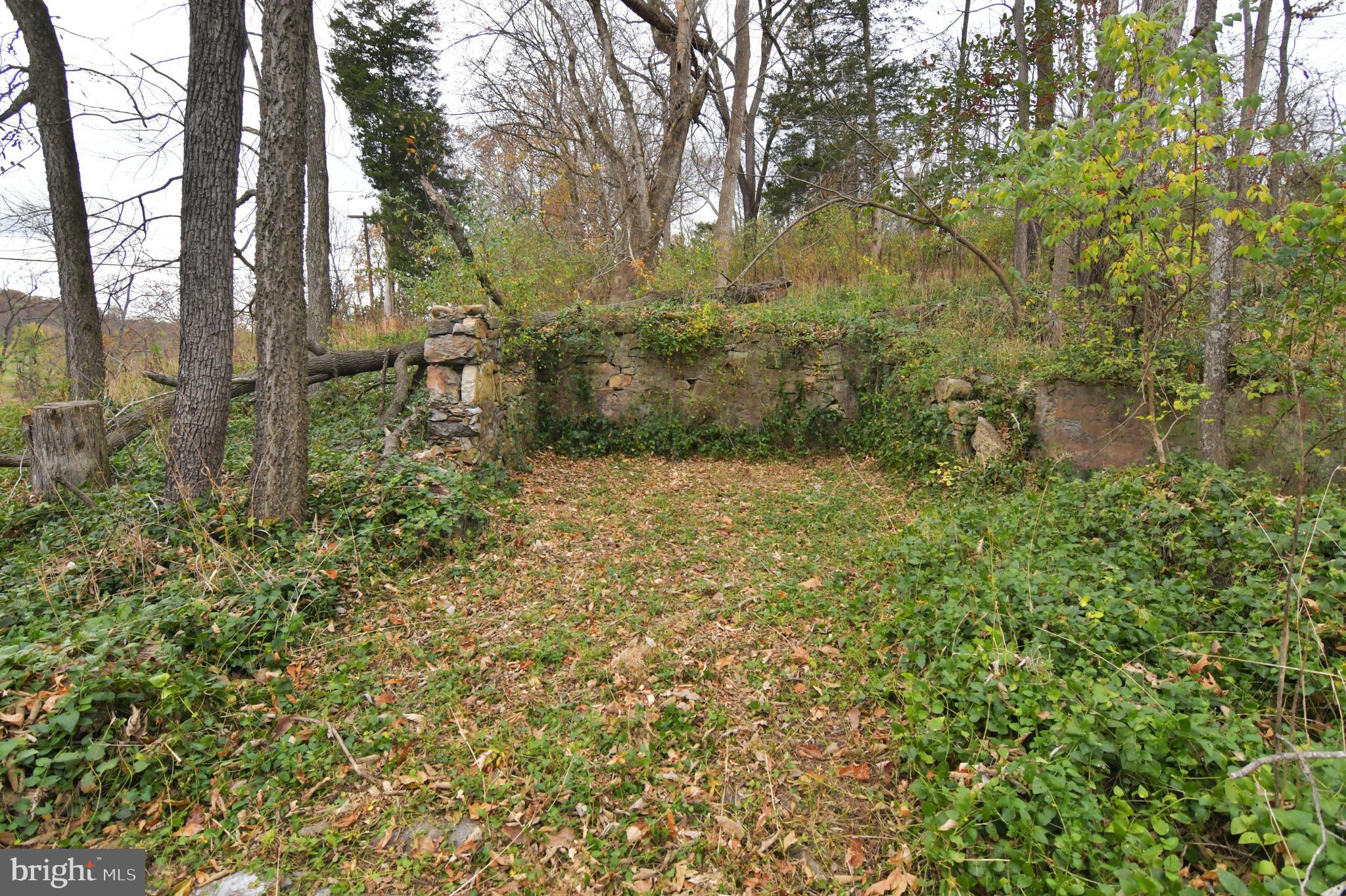 Lot D Lockes Mill Road Berryville, VA 22611 - Photo 16 of 29 a view of outdoor space and trees all around