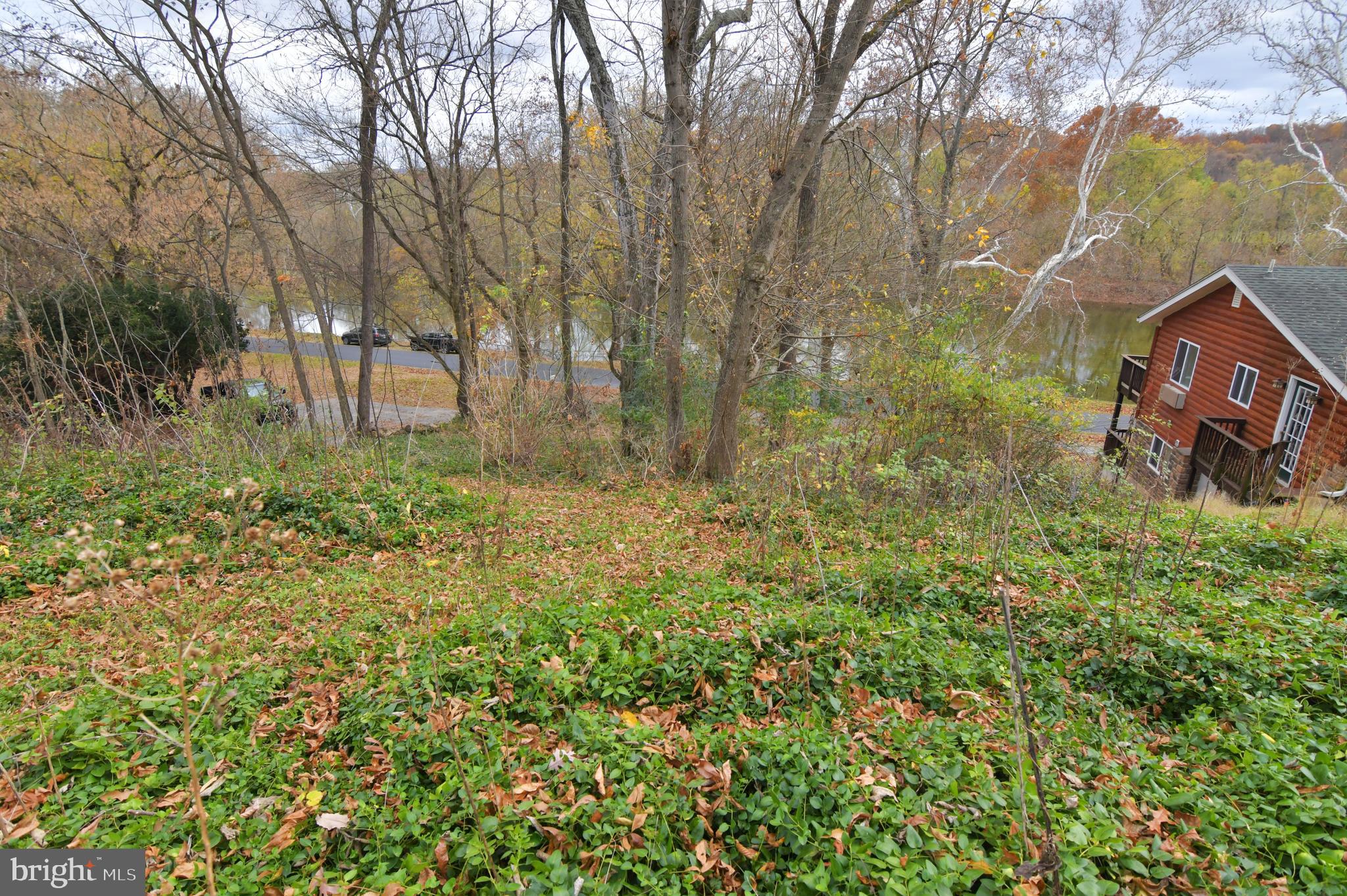 Lot D Lockes Mill Road Berryville, VA 22611 - Photo 17 of 29 a view of a yard with large trees