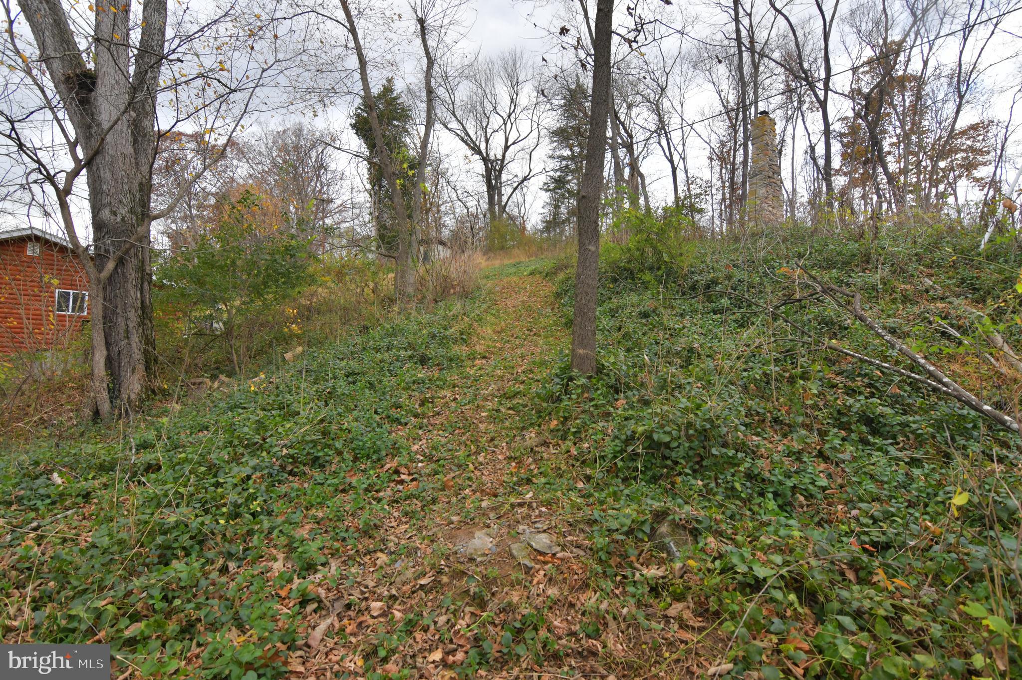 Lot D Lockes Mill Road Berryville, VA 22611 - Photo 18 of 29 a view of a yard with large trees