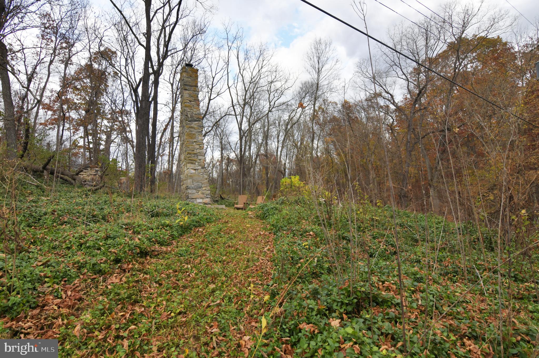 Lot D Lockes Mill Road Berryville, VA 22611 - Photo 20 of 29 a big yard with lots of green space and plants