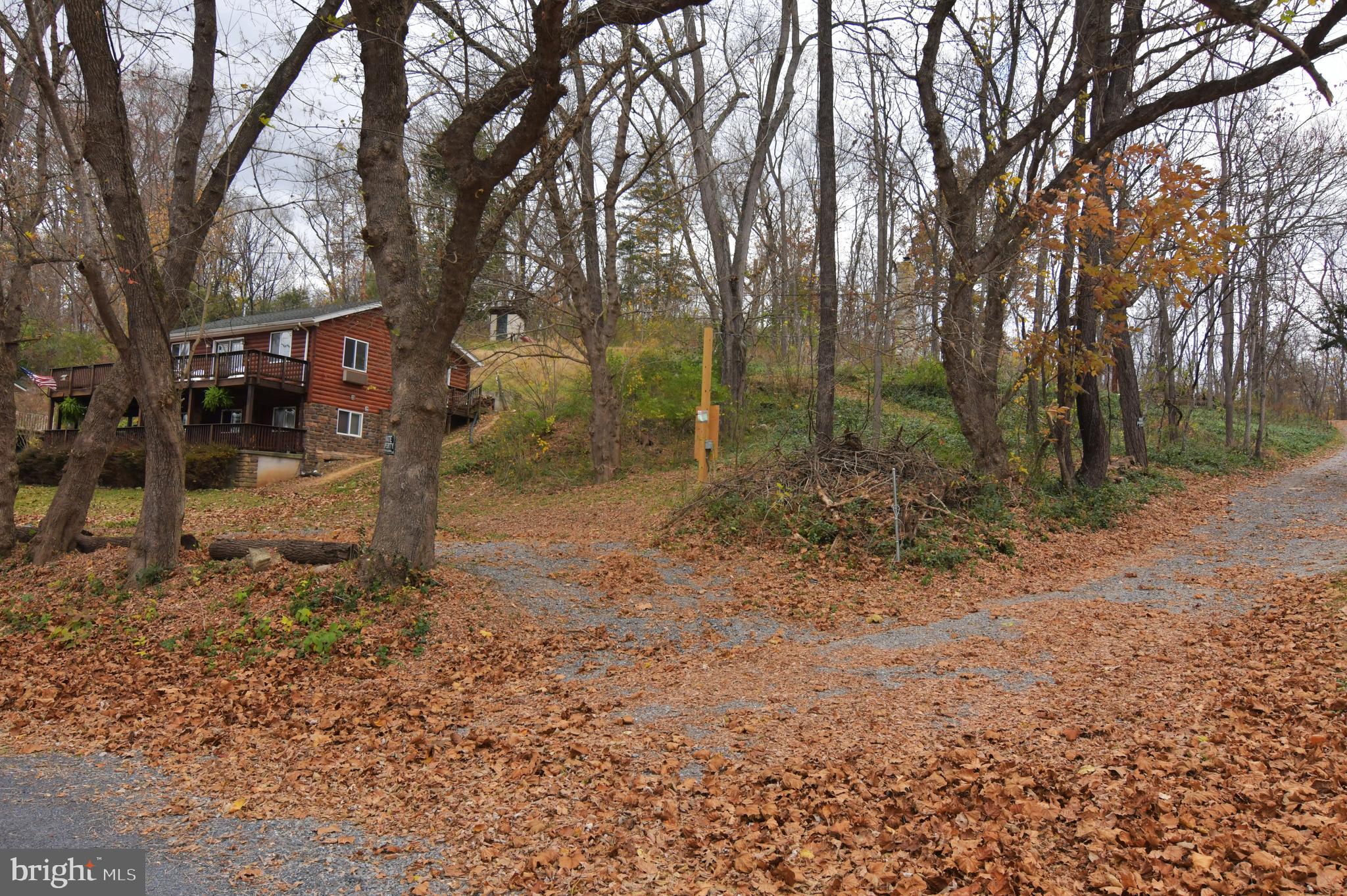 Lot D Lockes Mill Road Berryville, VA 22611 - Photo 21 of 29 a view of a yard with trees