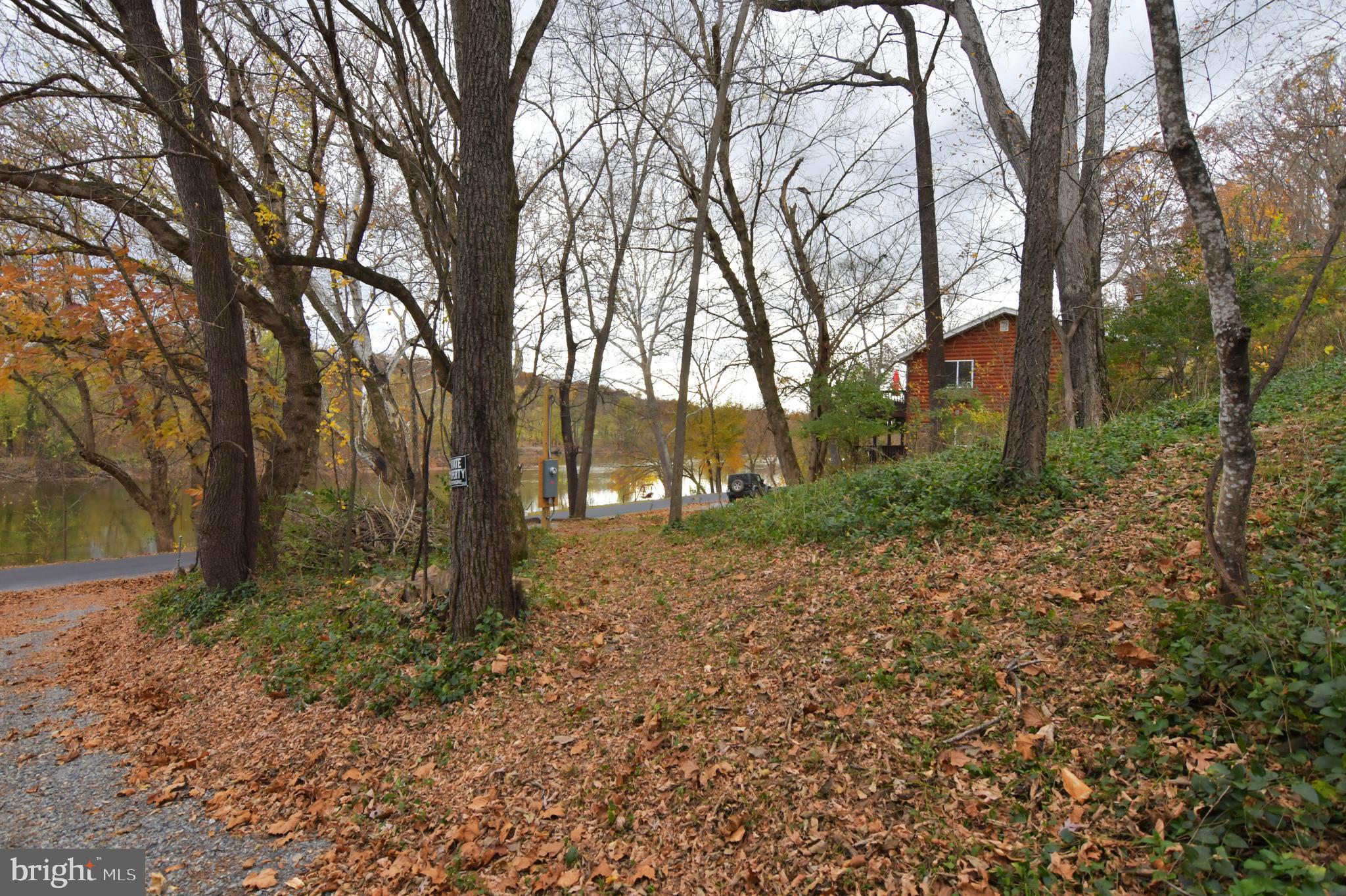 Lot D Lockes Mill Road Berryville, VA 22611 - Photo 22 of 29 a view of a yard with trees