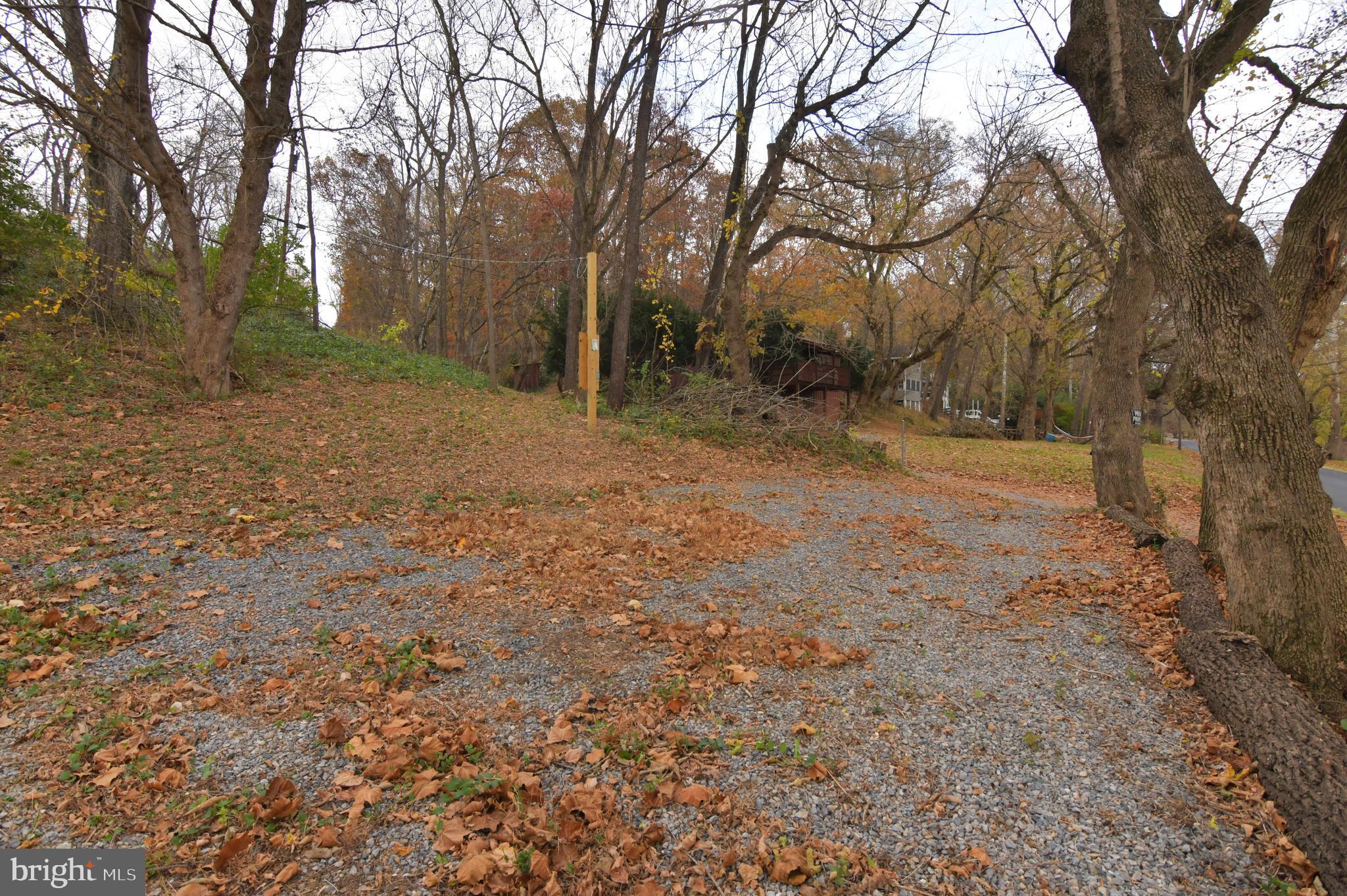 Lot D Lockes Mill Road Berryville, VA 22611 - Photo 23 of 29 a view of a yard with a tree
