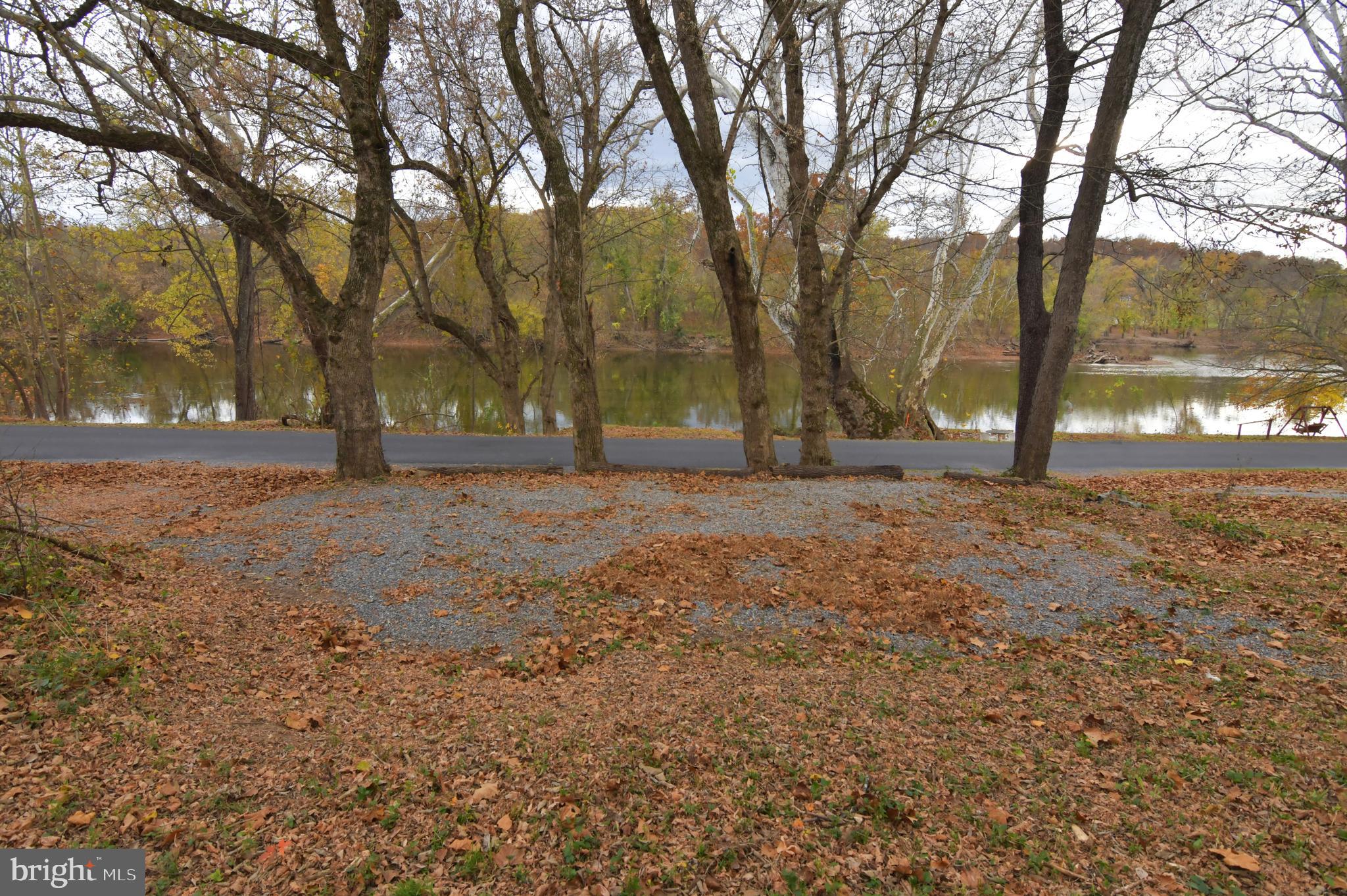 Lot D Lockes Mill Road Berryville, VA 22611 - Photo 24 of 29 a view of empty yard with trees