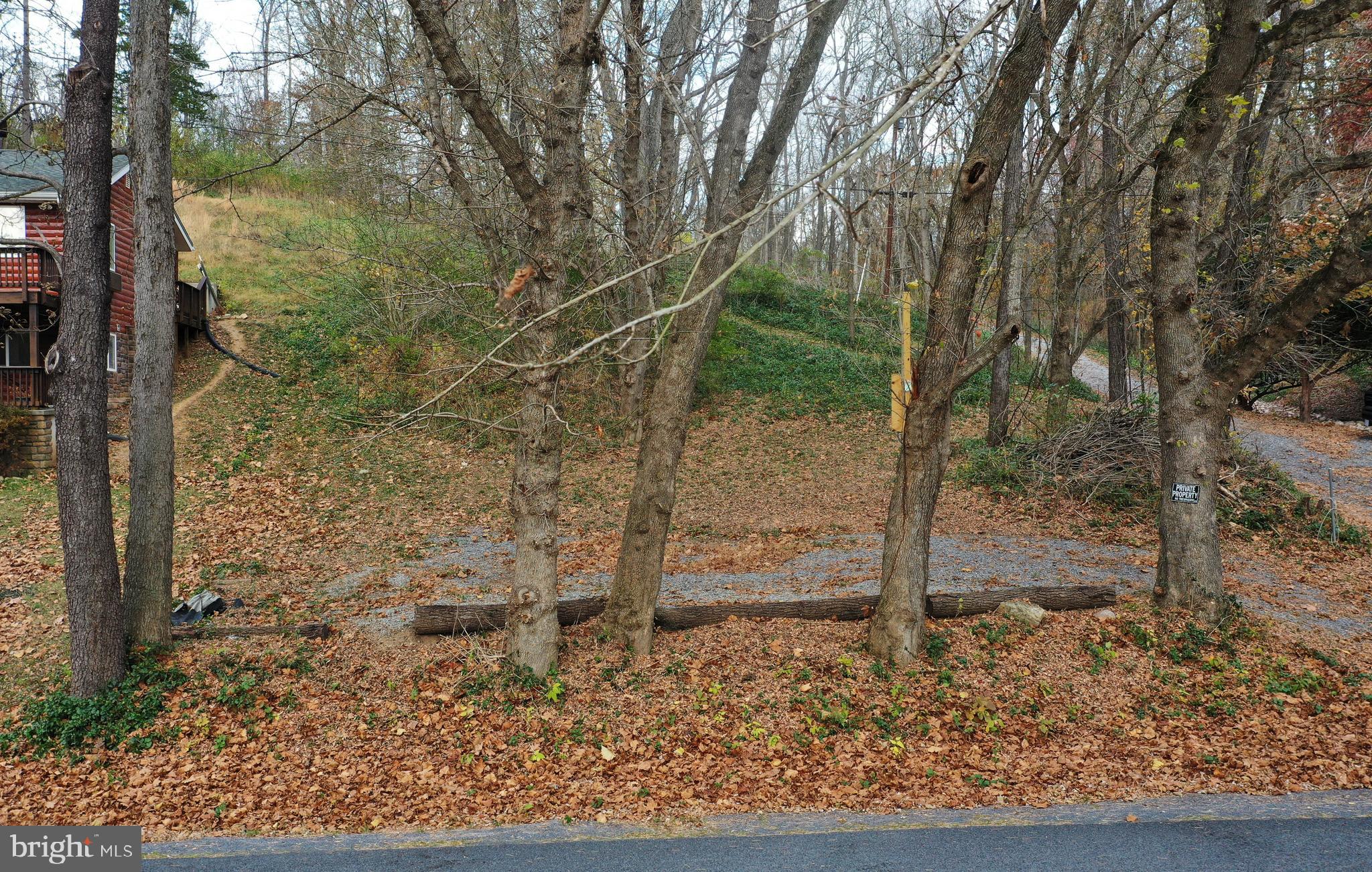 Lot D Lockes Mill Road Berryville, VA 22611 - Photo 9 of 29 a backyard of a house with lots of green space