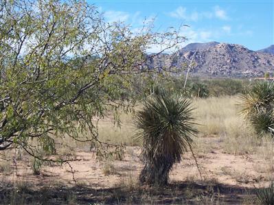 0 Bea Haven Road Tucson, AZ 85709 - Photo 1 of 1