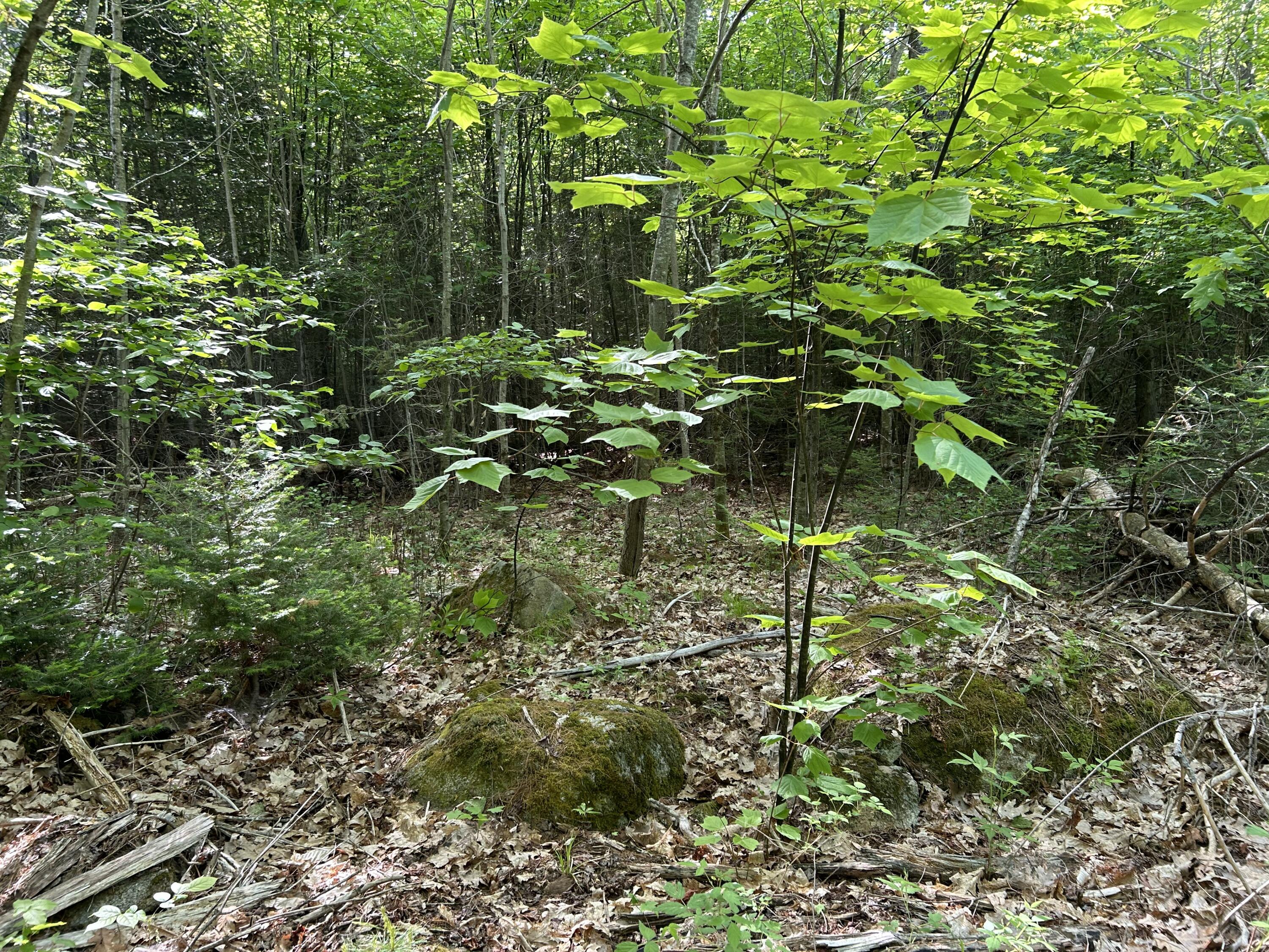 M5-l13 Clark Road Prospect, ME 04981 - Photo 30 of 33 IMG_8795