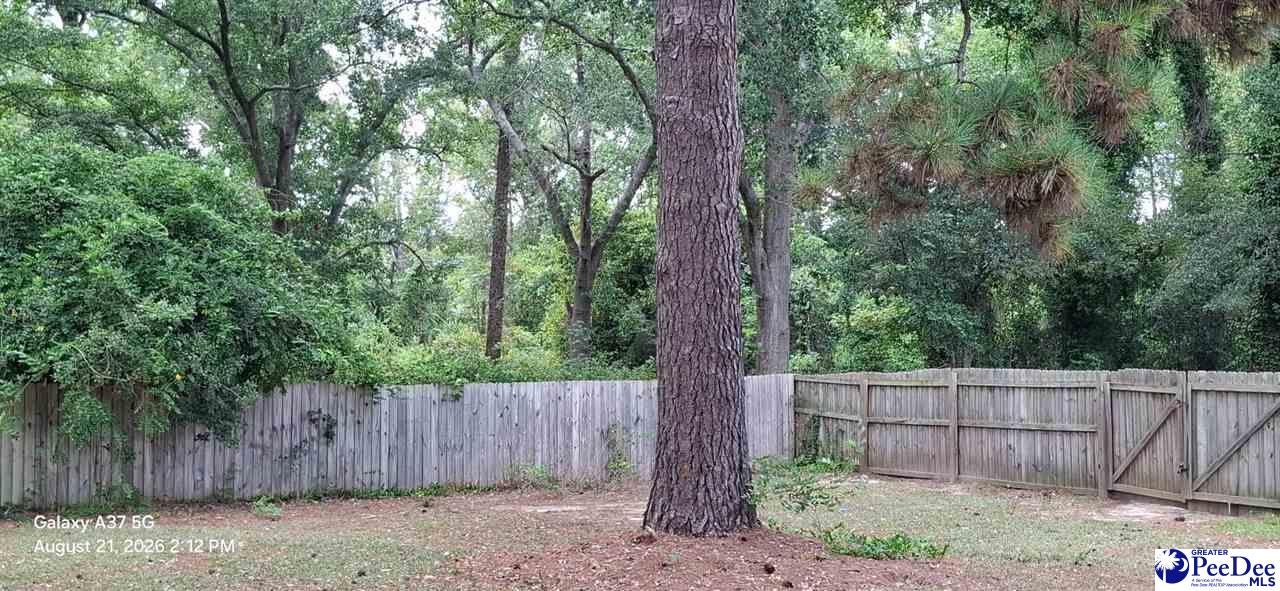 200 State Road Cheraw, SC 29520 - Photo 8 of 11 Gallery Image 8