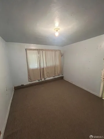 a view of a yard with plants and large trees