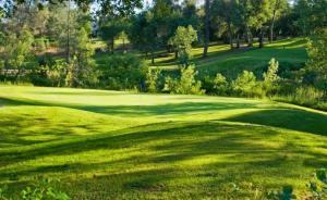 19476 Palermo Court Redding, CA 96003 - Photo 9 of 18 Gorgeous Golf Course