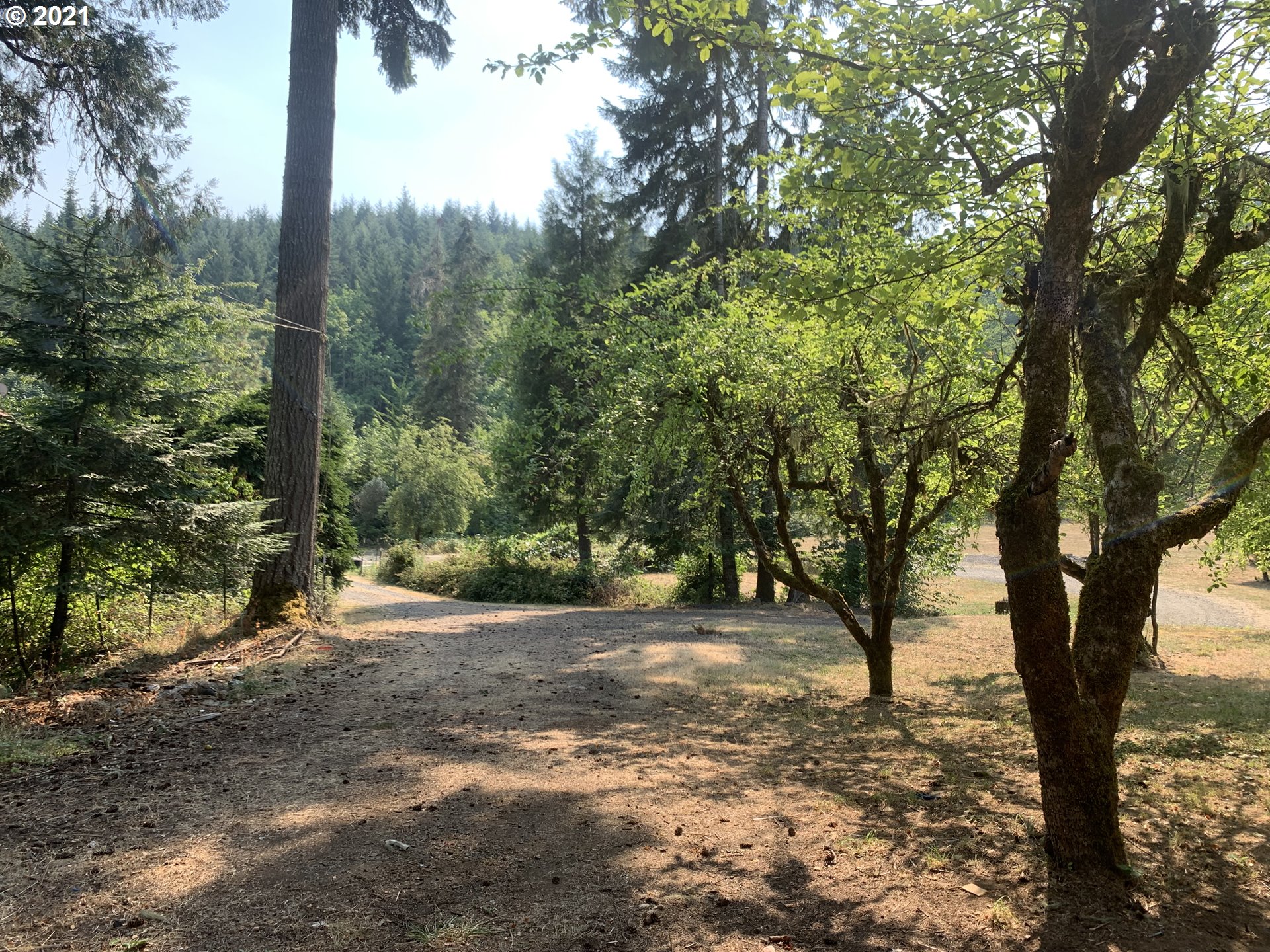 80828 Beach Road Creswell, OR 97426 - Photo 31 of 32 Gallery Image 31