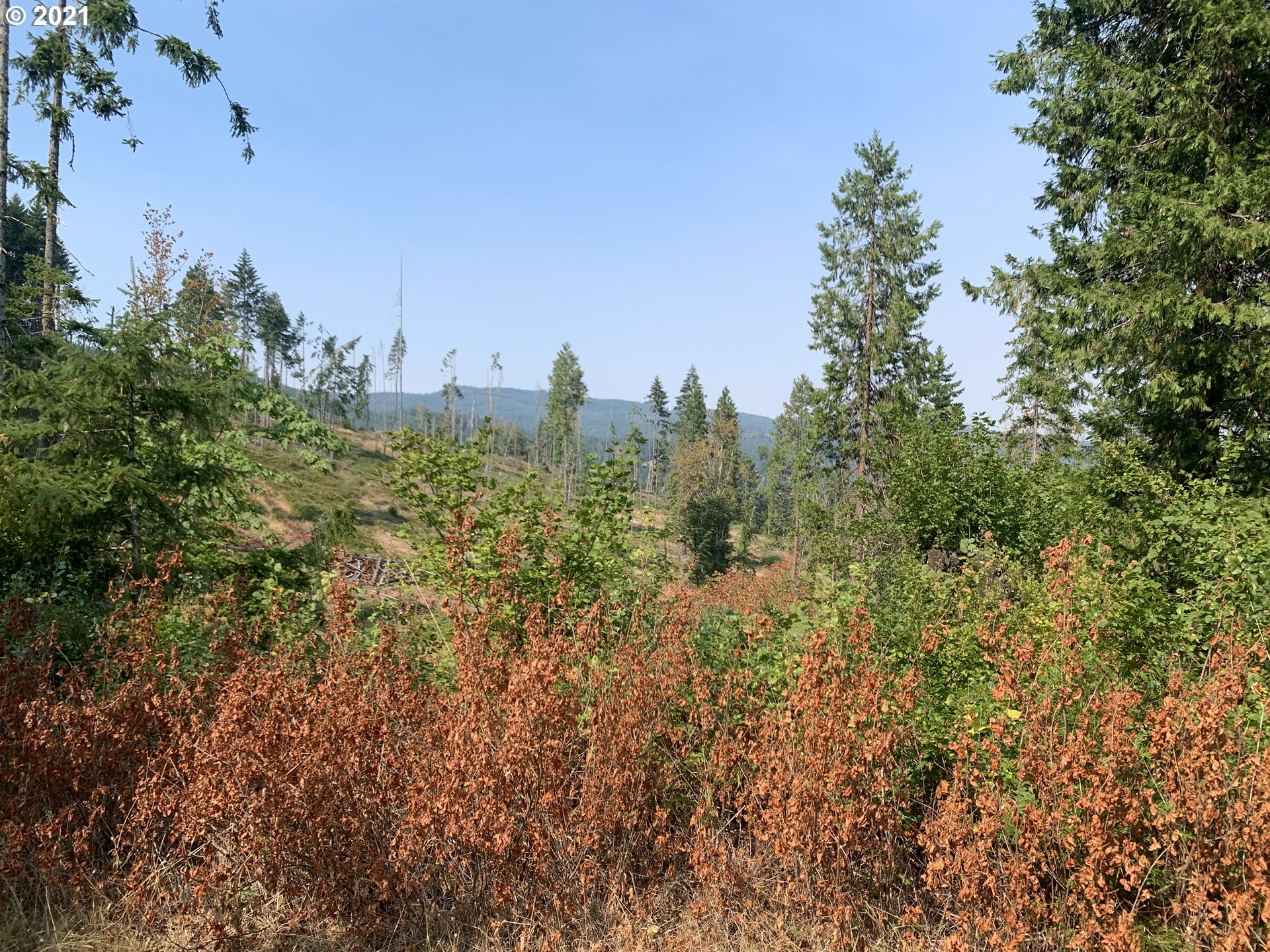 80828 Beach Road Creswell, OR 97426 - Photo 8 of 32 Gallery Image 8
