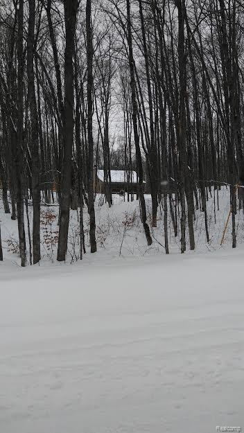 9270 West Cameron Bridge Road Frederic, MI 49733 - Photo 5 of 10 Gallery Image 5