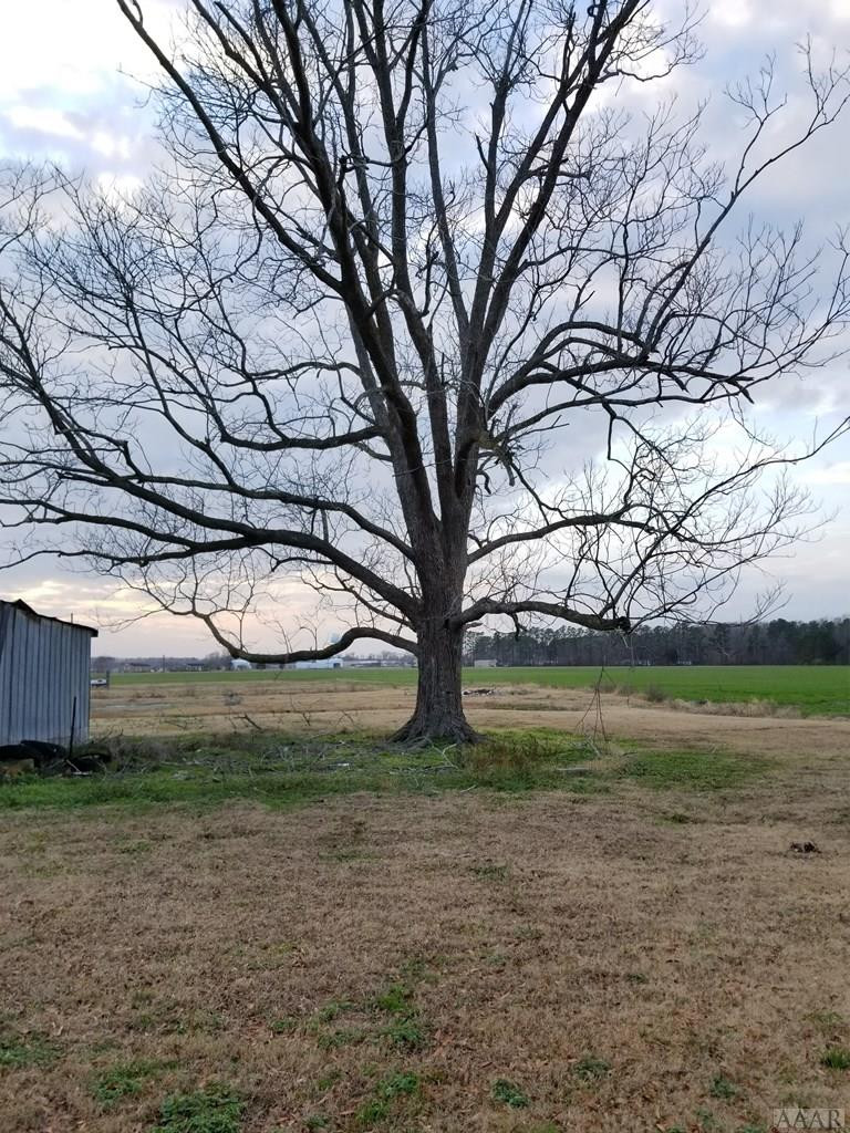 643 Bayside Road Elizabeth City, NC 27909 - Photo 8 of 28 Gallery Image 8