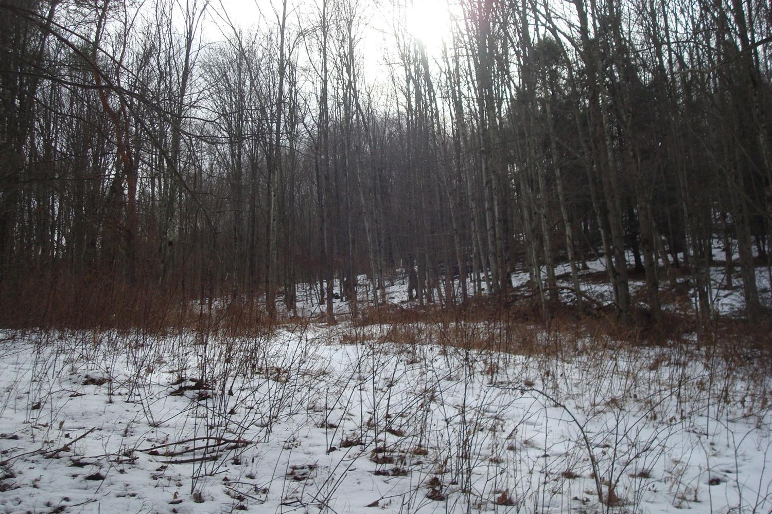 0 Finnerty Road Masonville, NY 13804 - Photo 1 of 1 Gallery Image 1
