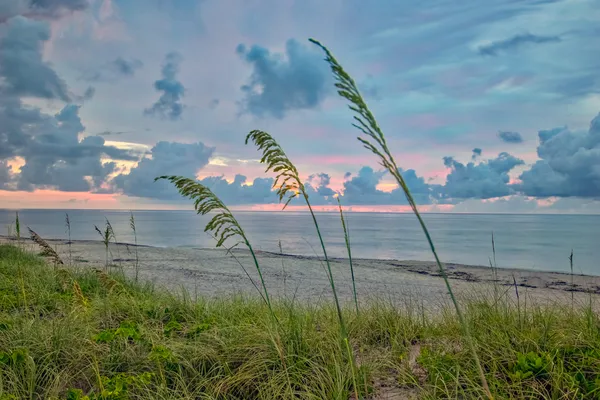 $10,000 | 15129 Harriet Avenue, Jupiter, FL 33458