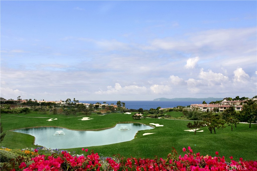 5 Via Monarca Street Dana Point, CA 92629 - Photo 57 of 64 a view of a lake with houses in back