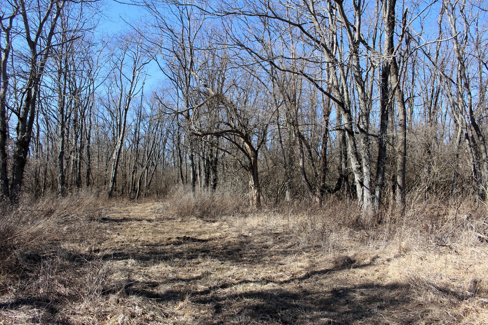 5751 White Pigeon Road Weldon, IL 61882 - Photo 17 of 29