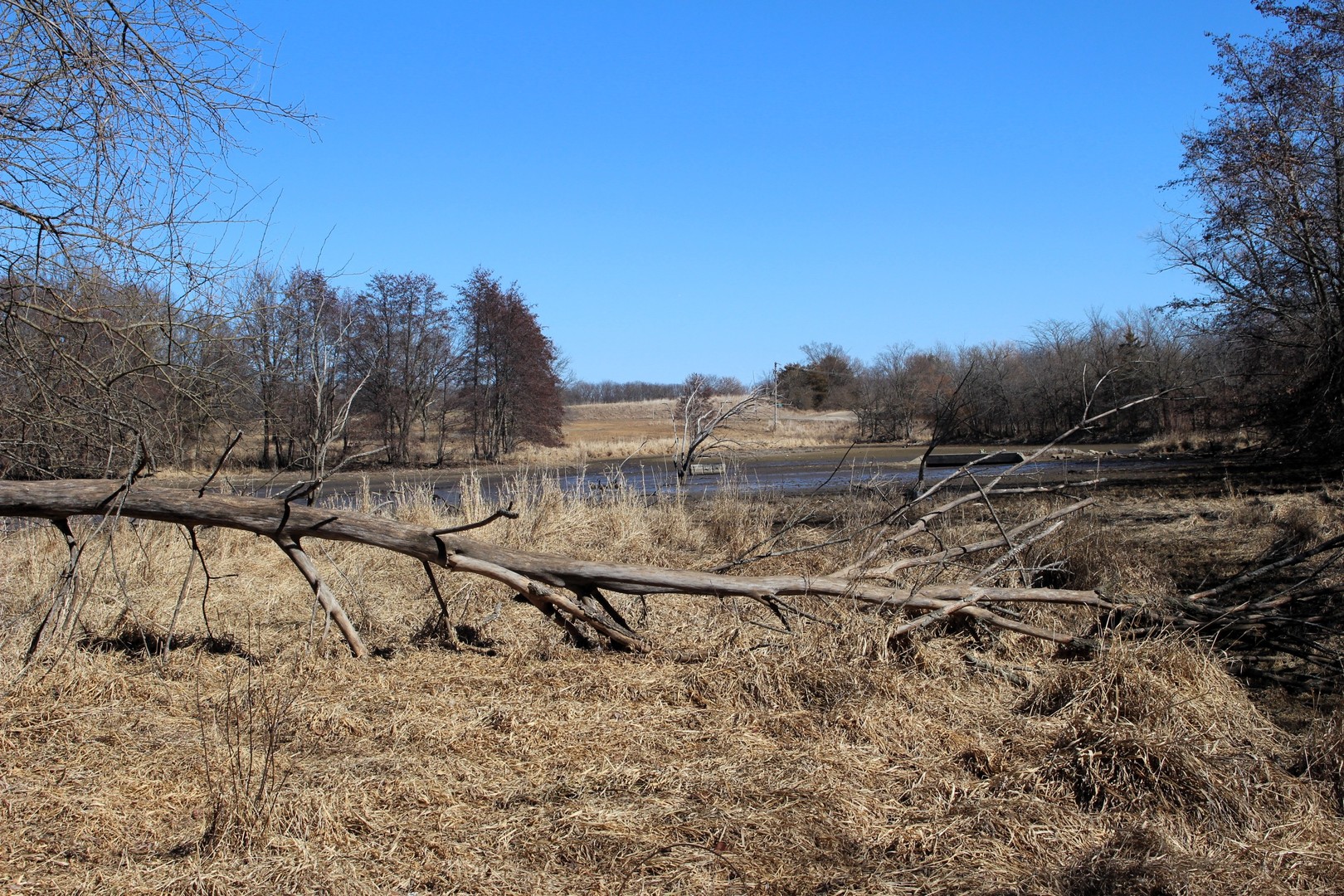 5751 White Pigeon Road Weldon, IL 61882 - Photo 19 of 29 a view of a yard with an outdoor space