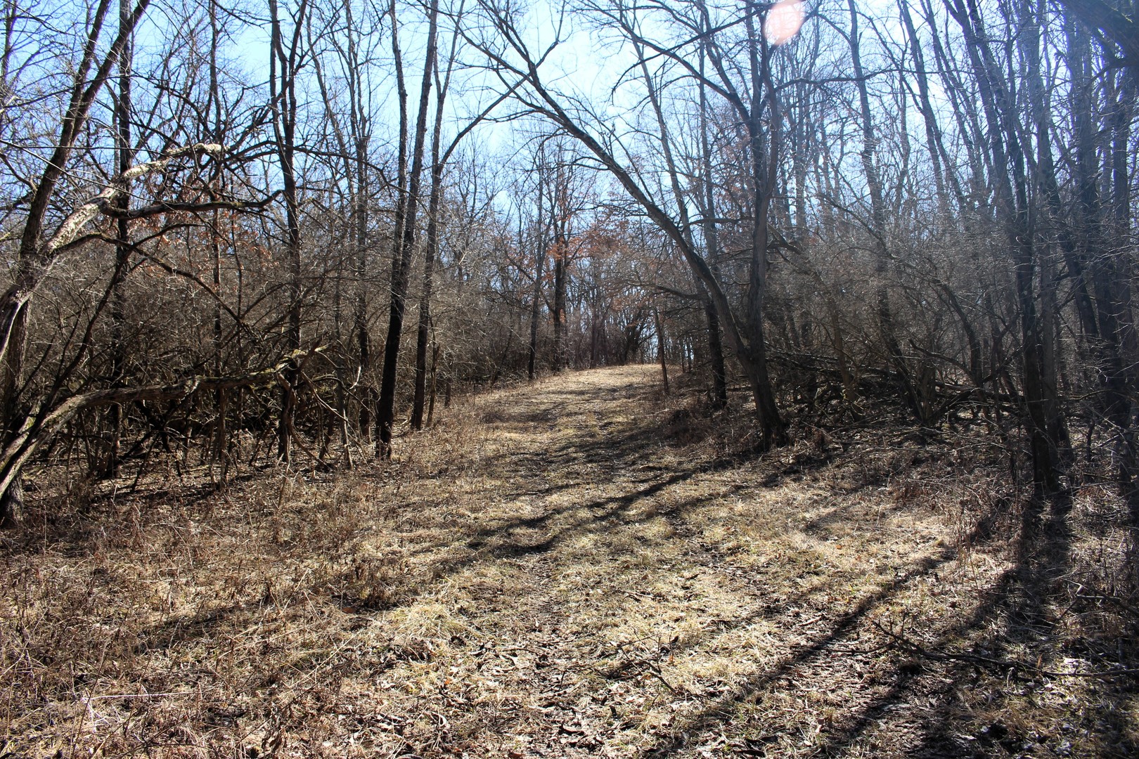 5751 White Pigeon Road Weldon, IL 61882 - Photo 20 of 29 a view of outdoor space with trees