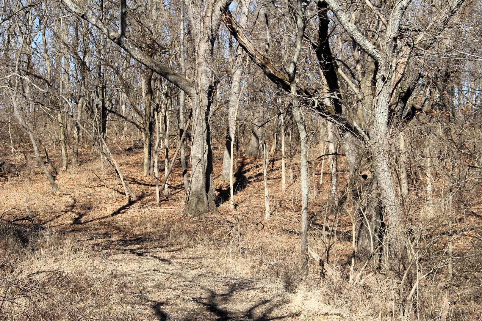 5751 White Pigeon Road Weldon, IL 61882 - Photo 22 of 29