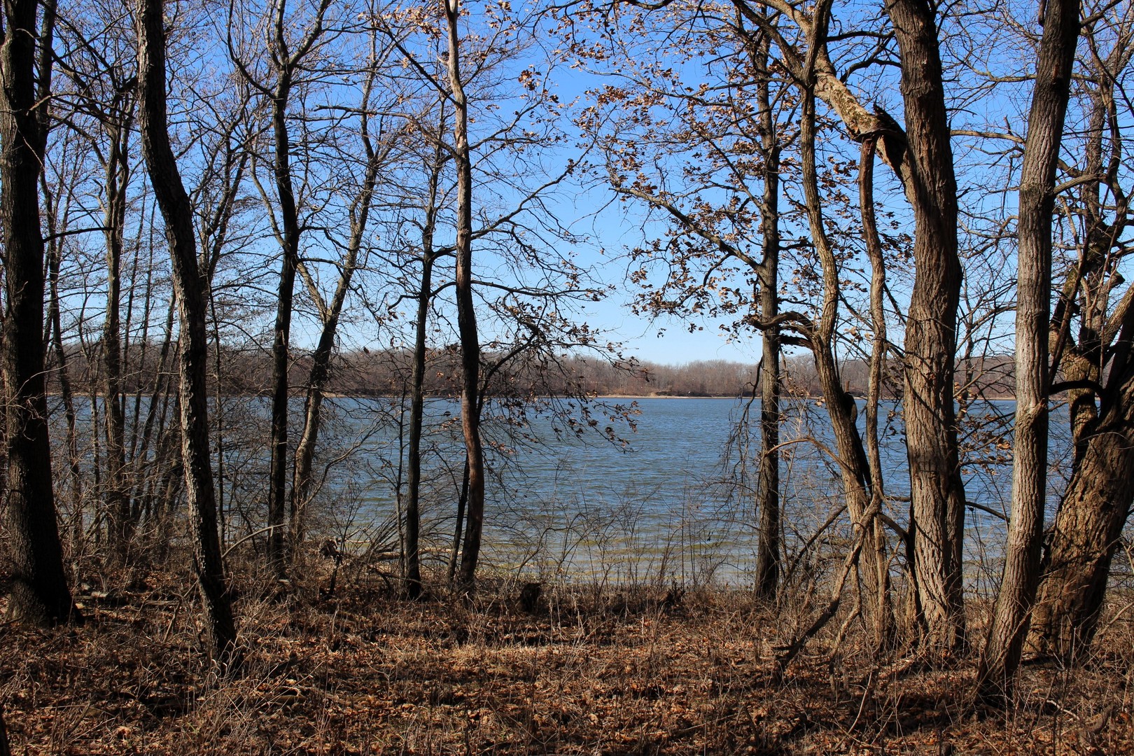 5751 White Pigeon Road Weldon, IL 61882 - Photo 23 of 29 a backyard of a house with lots of green space