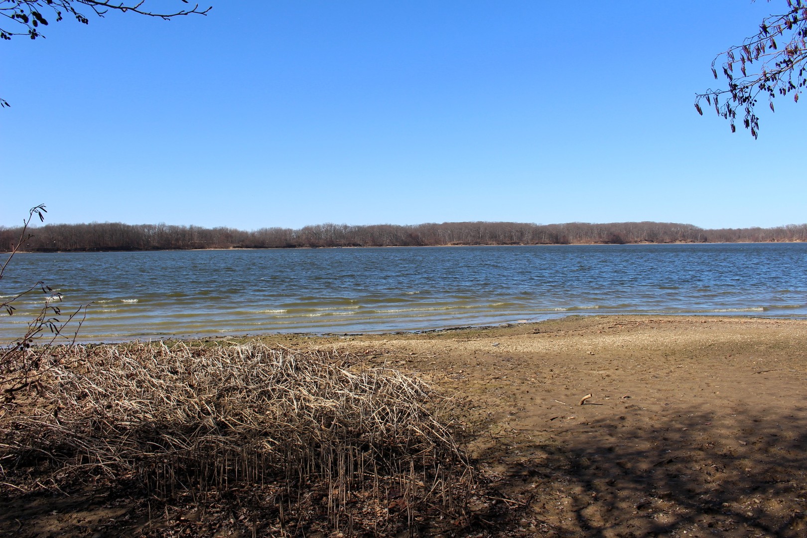 5751 White Pigeon Road Weldon, IL 61882 - Photo 24 of 29 a view of an ocean