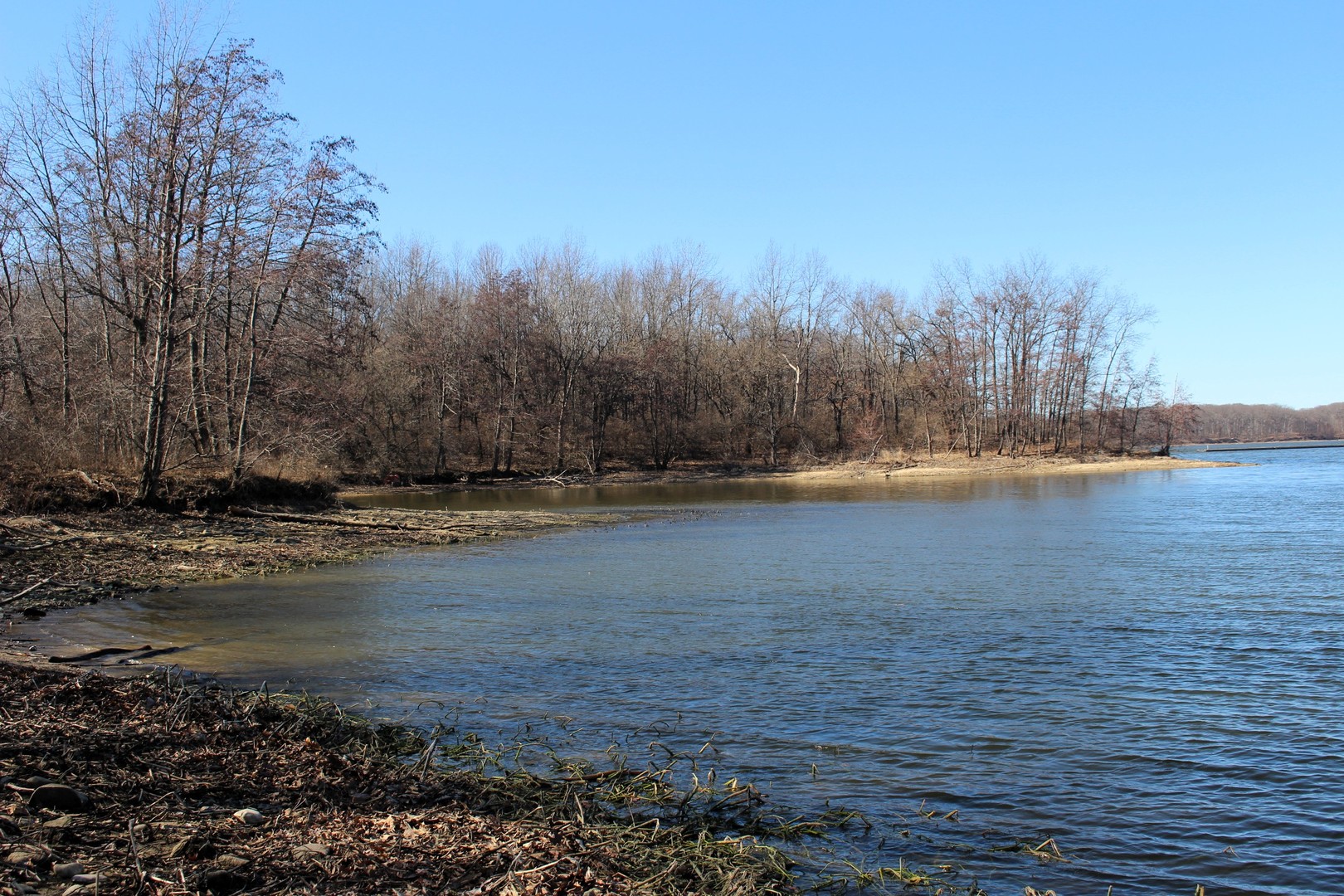 5751 White Pigeon Road Weldon, IL 61882 - Photo 28 of 29 a view of lake view and mountain