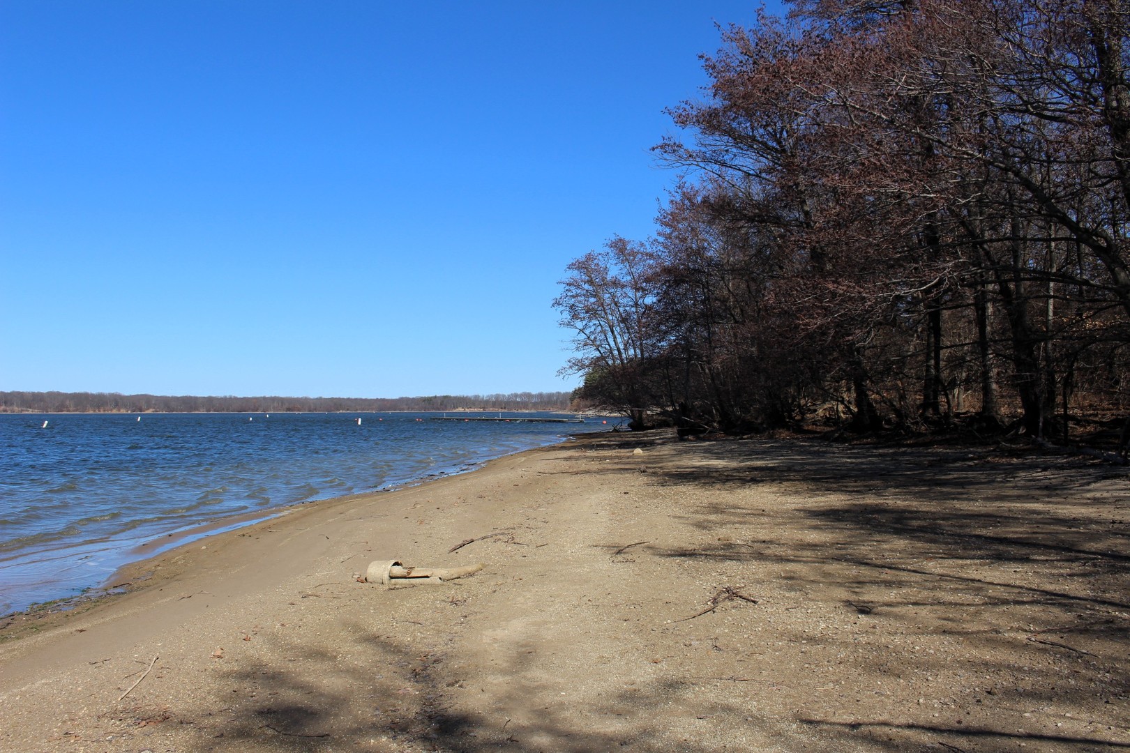 5751 White Pigeon Road Weldon, IL 61882 - Photo 3 of 29 a view of a yard with wooden fence