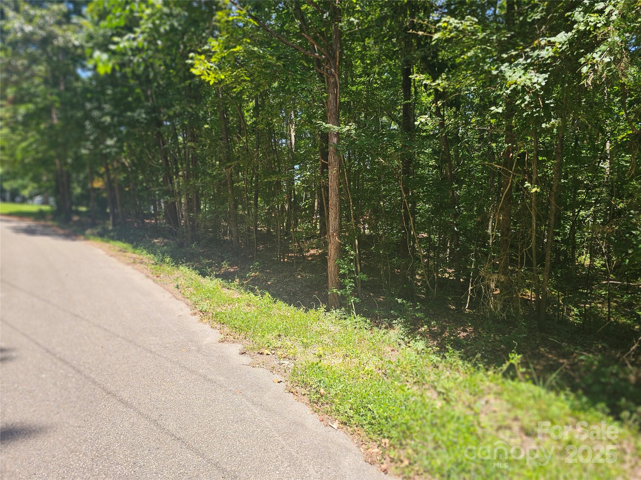 0 Deer Track Circle Lancaster, SC 29720 - Photo 2 of 5 a view of lake background with trees