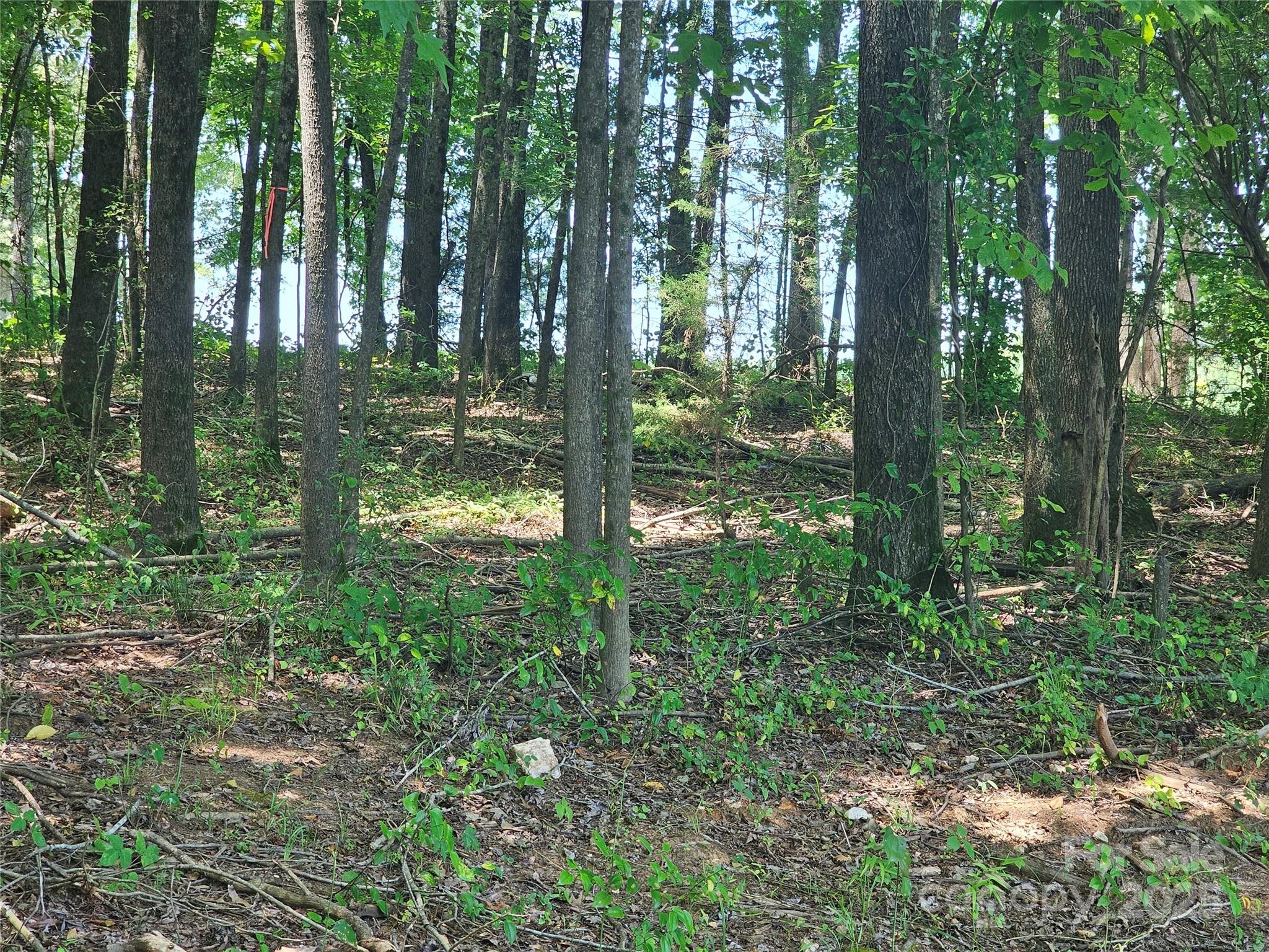 0 Deer Track Circle Lancaster, SC 29720 - Photo 3 of 5 a backyard of a house with lots of green space and fountain