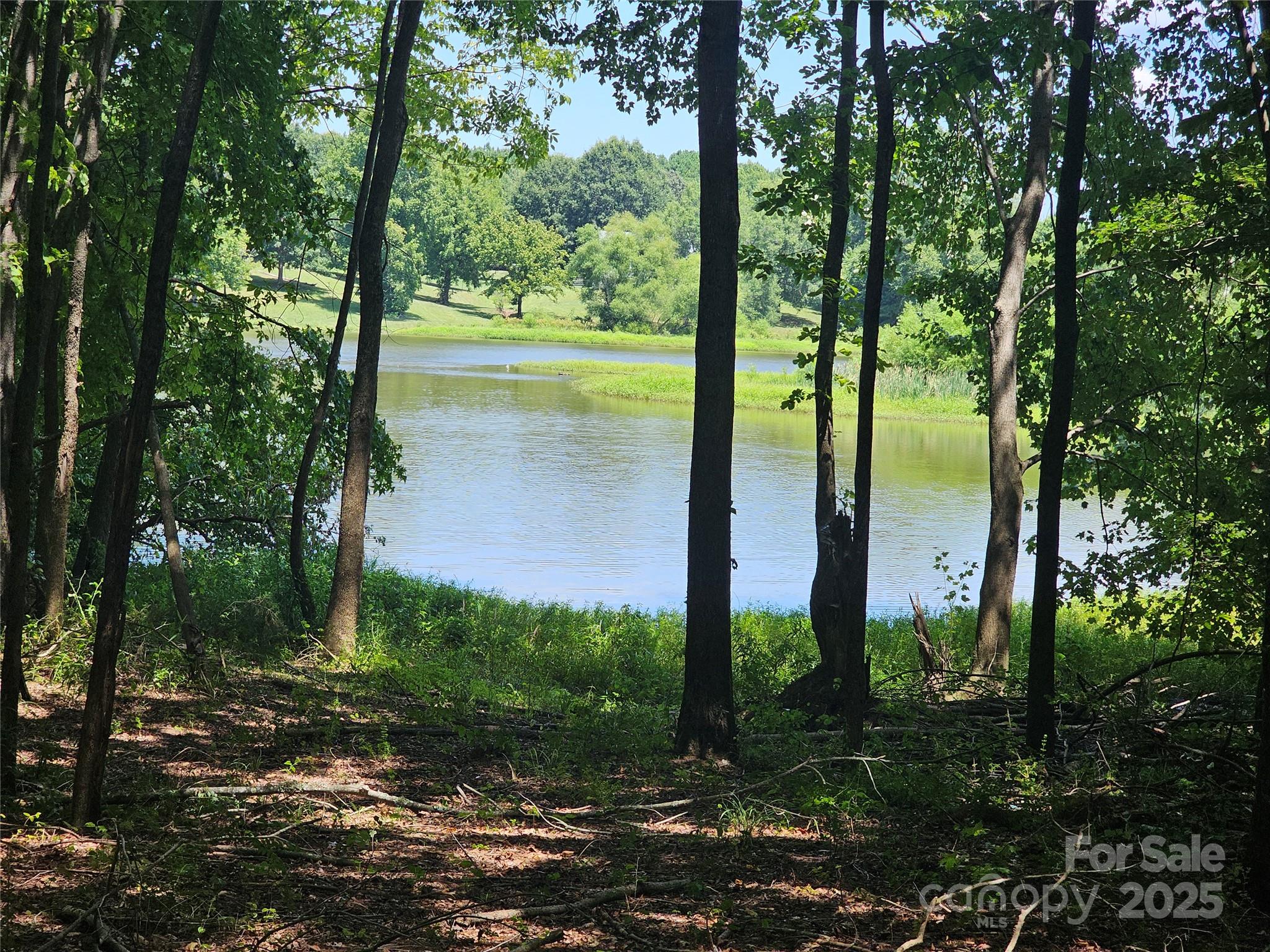 0 Deer Track Circle Lancaster, SC 29720 - Photo 4 of 5 a lake view