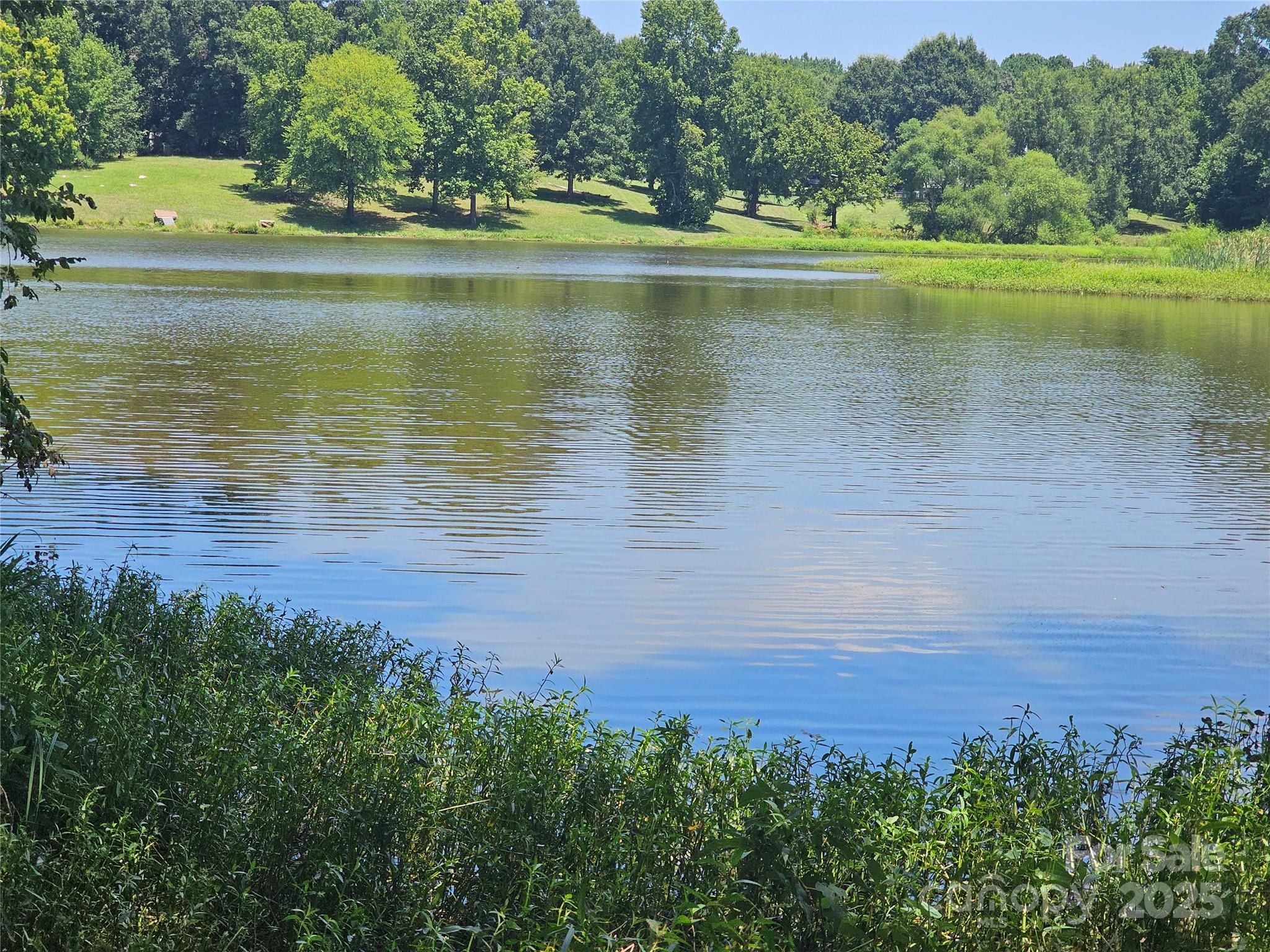 0 Deer Track Circle Lancaster, SC 29720 - Photo 5 of 5 a view of a lake with a big yard
