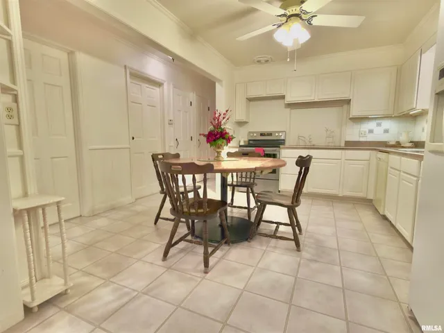 a view of a forest with trees