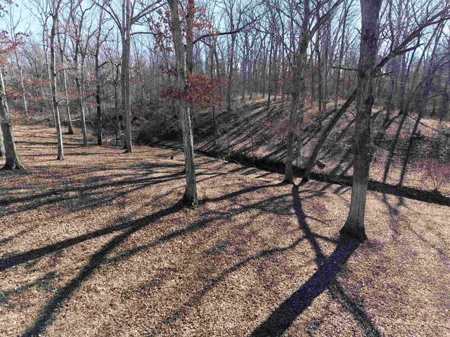 $329,900 | 3831 East State Highway, Altamont, IL 62461