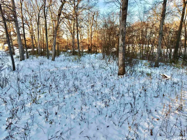 $329,900 | 3831 East State Highway, Shumway, IL 62461